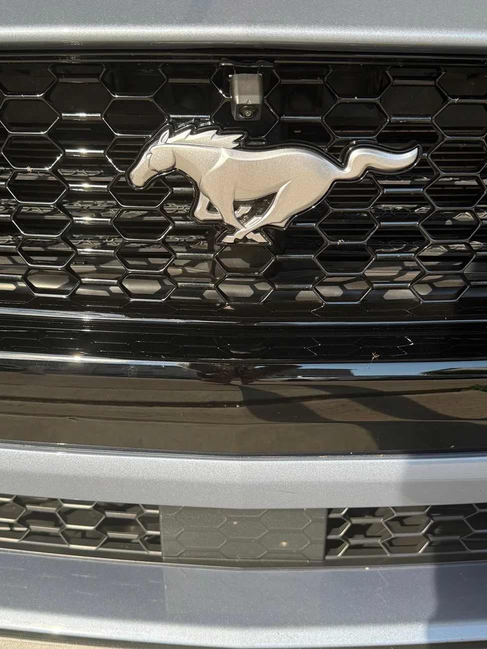 S650 Mustang Ensight Auto Sync 4 Front Parking Camera IMG_4208