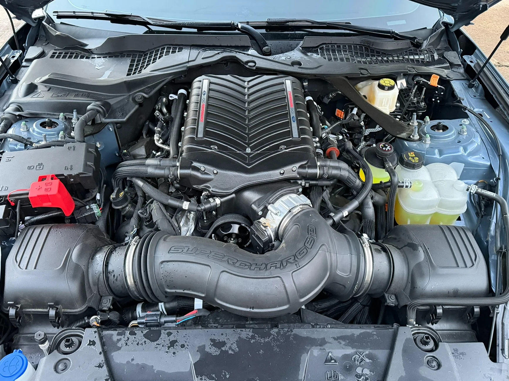 S650 Mustang 2025 Ford Mustang Dark Horse | Ford Performance Whipple Supercharged | 2,991 Miles | Warranty Intact | Asking price 77,000 OBO IMG_1021