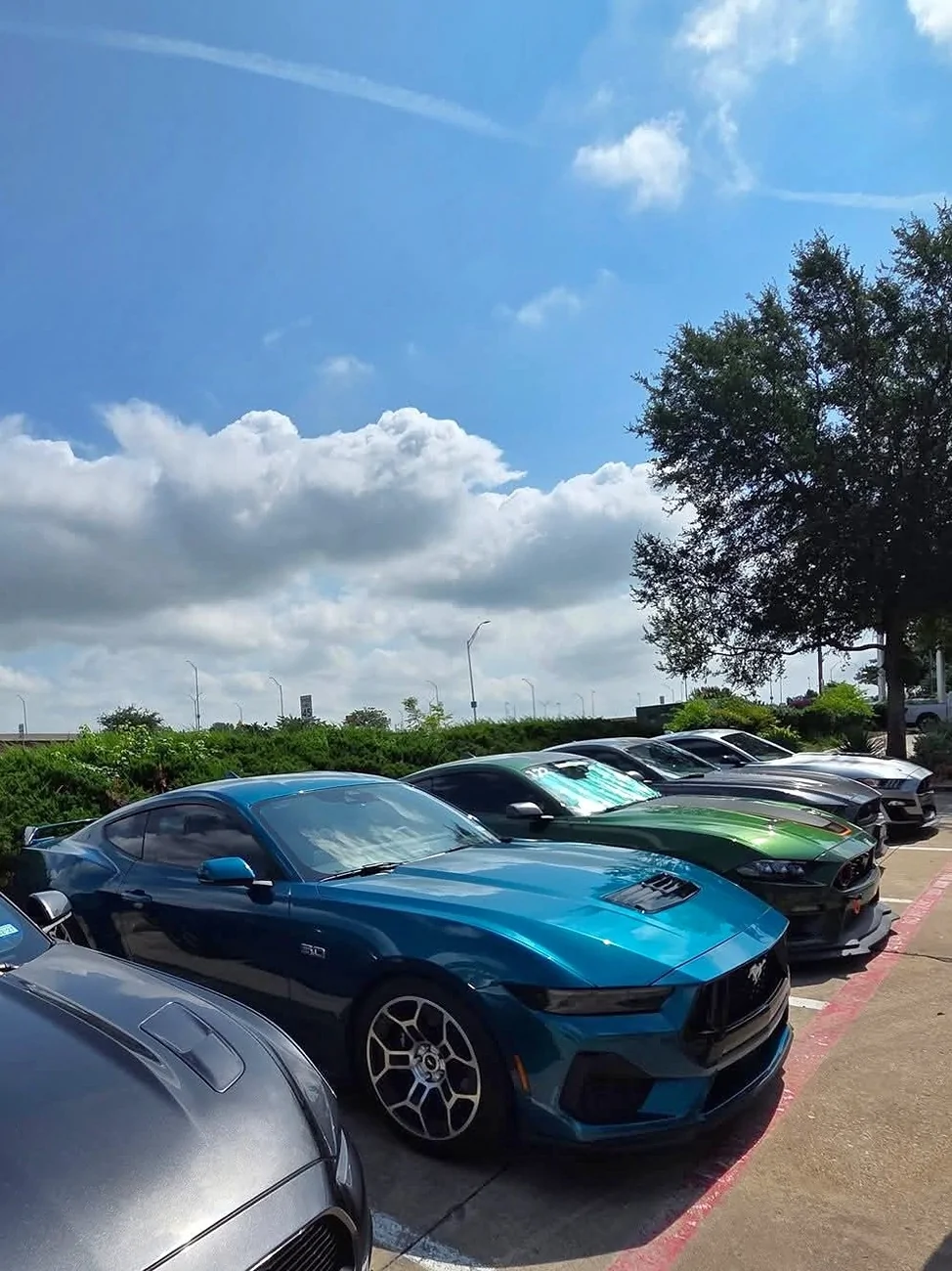 S650 Mustang Cool Daily Random S650 Mustang Pics -- Post Yours! 📸 1000019005