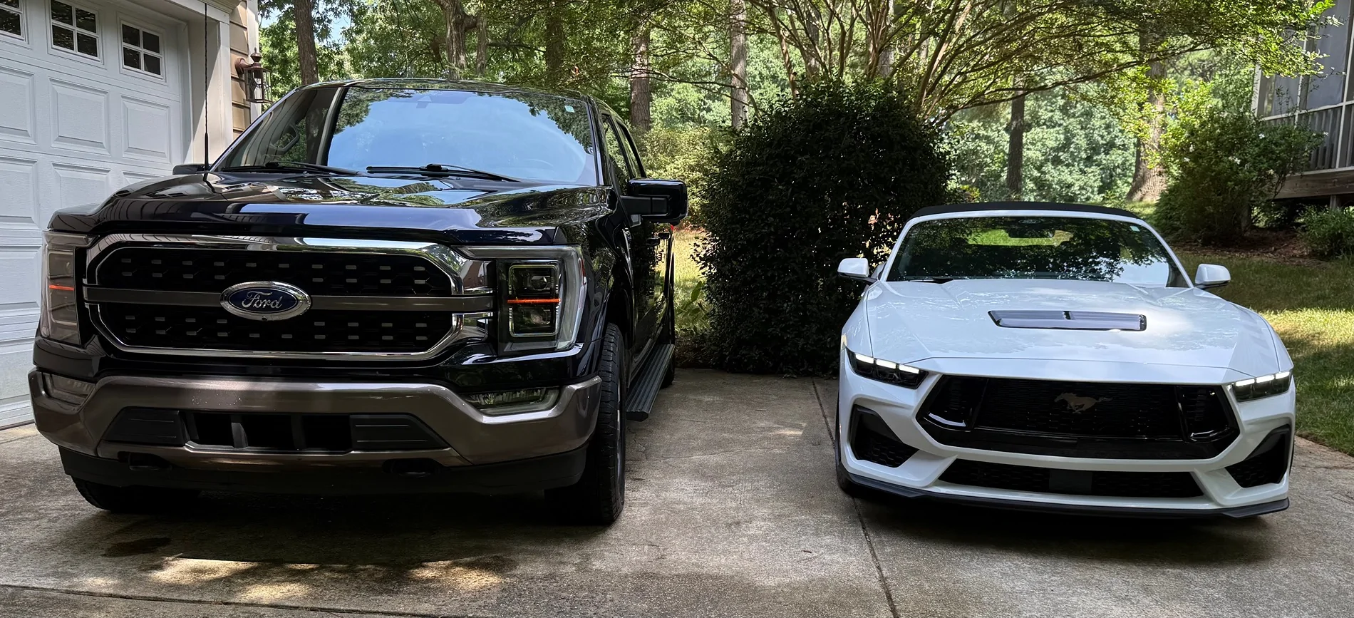 S650 Mustang Cool Daily Random S650 Mustang Pics -- Post Yours! 📸 IMG_5464