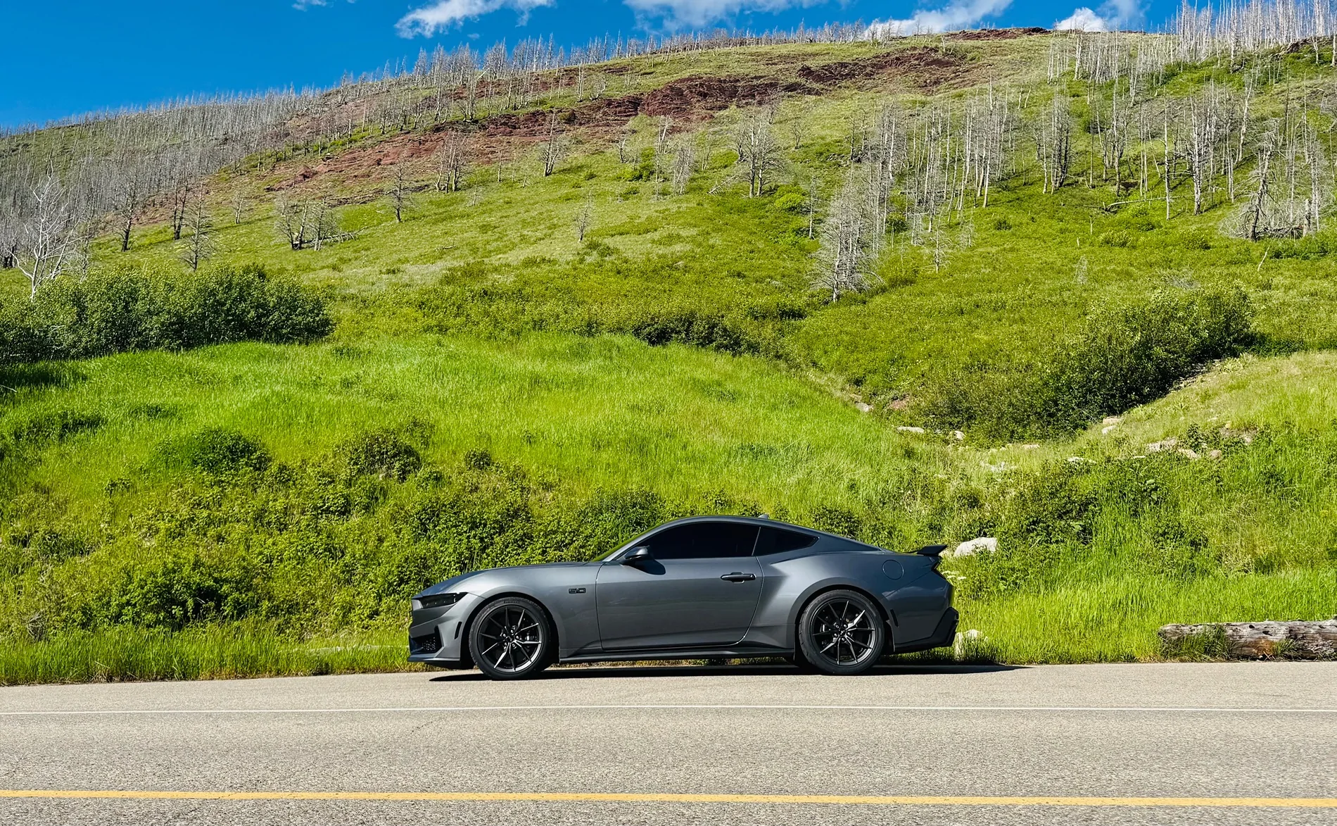 S650 Mustang Cool Daily Random S650 Mustang Pics -- Post Yours! 📸 IMG_0493