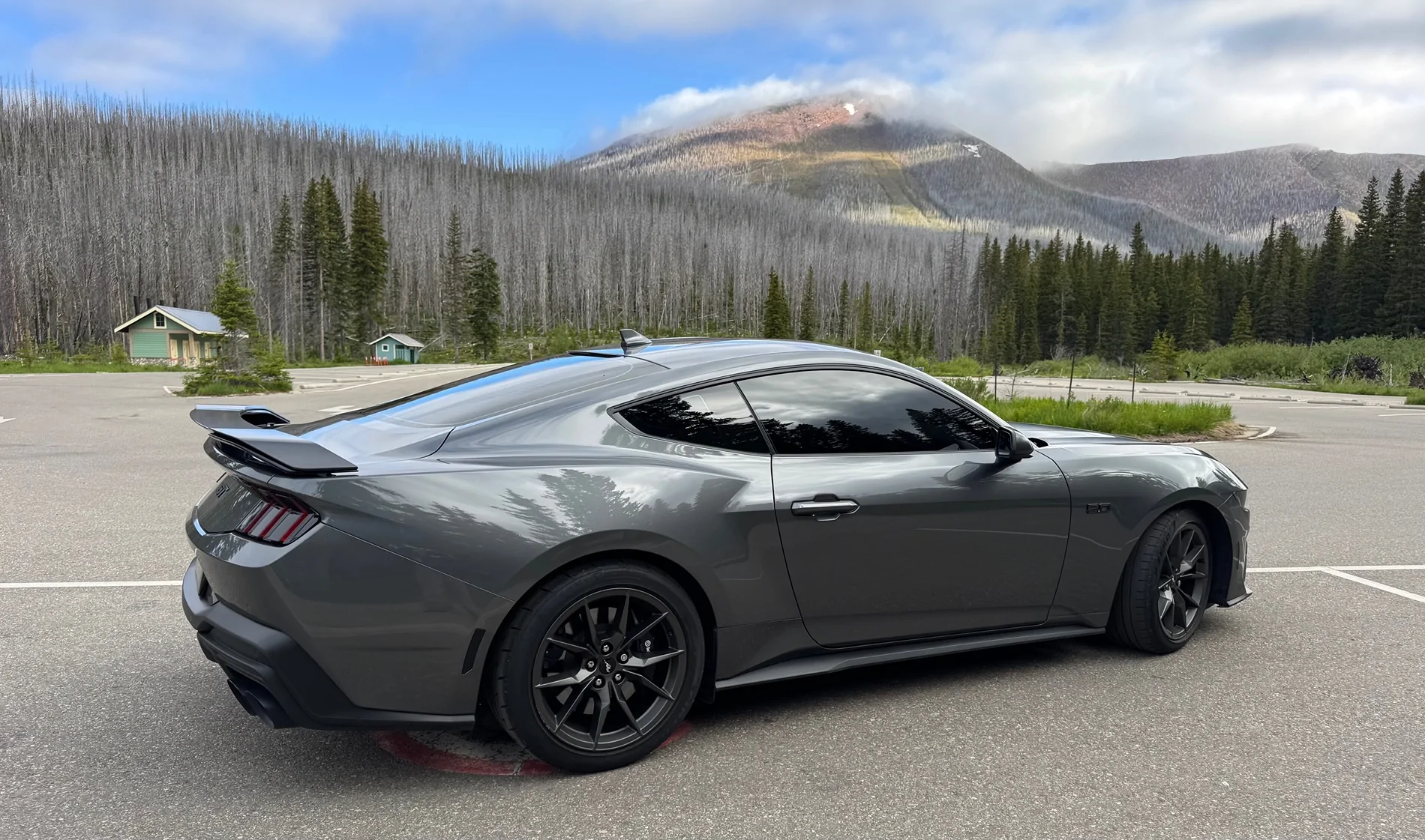 S650 Mustang Cool Daily Random S650 Mustang Pics -- Post Yours! 📸 IMG_0564