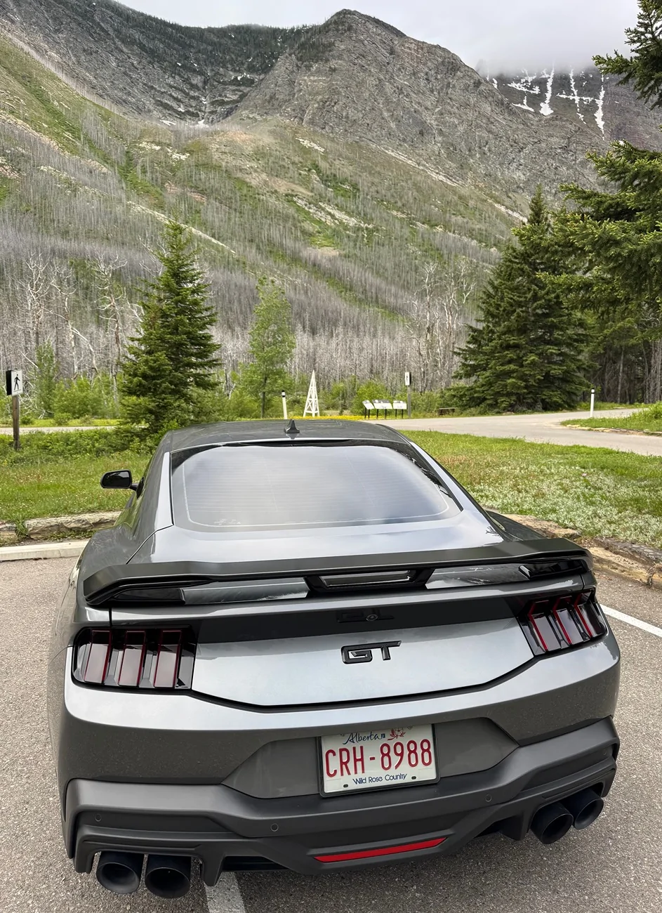 S650 Mustang Cool Daily Random S650 Mustang Pics -- Post Yours! 📸 IMG_0553