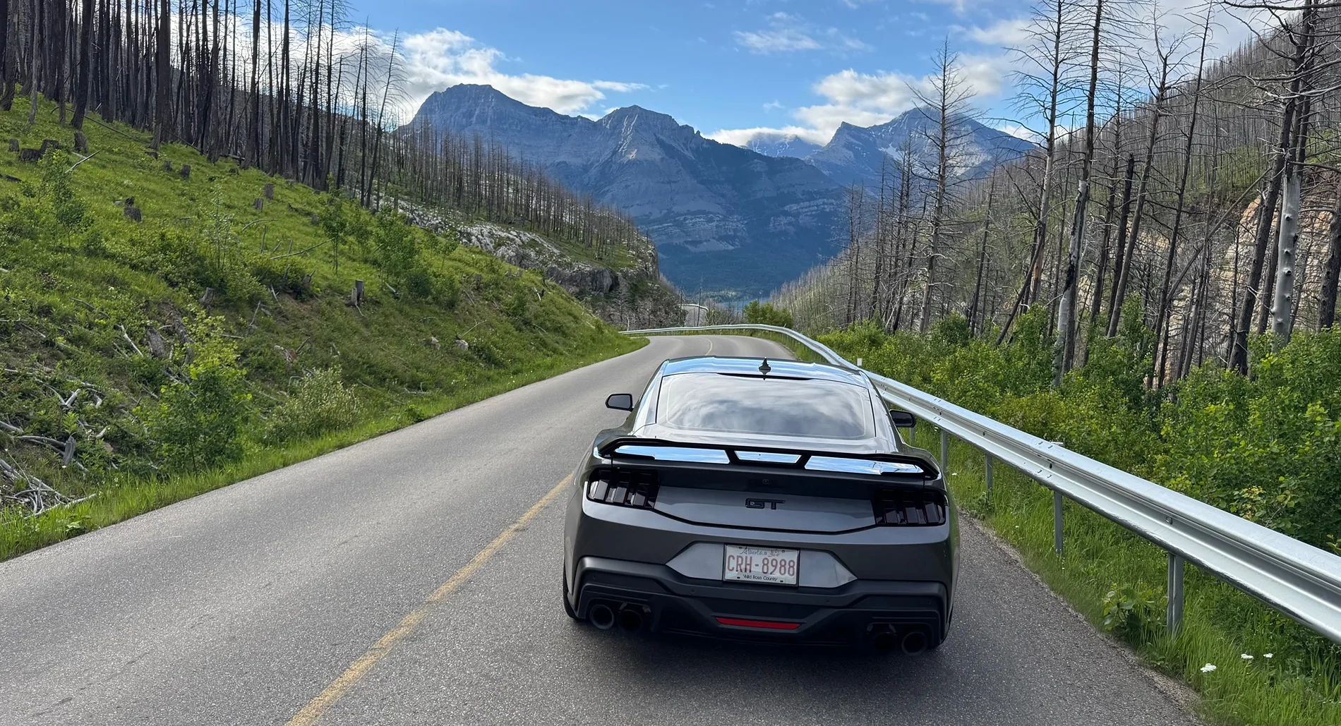 S650 Mustang Cool Daily Random S650 Mustang Pics -- Post Yours! 📸 IMG_0567