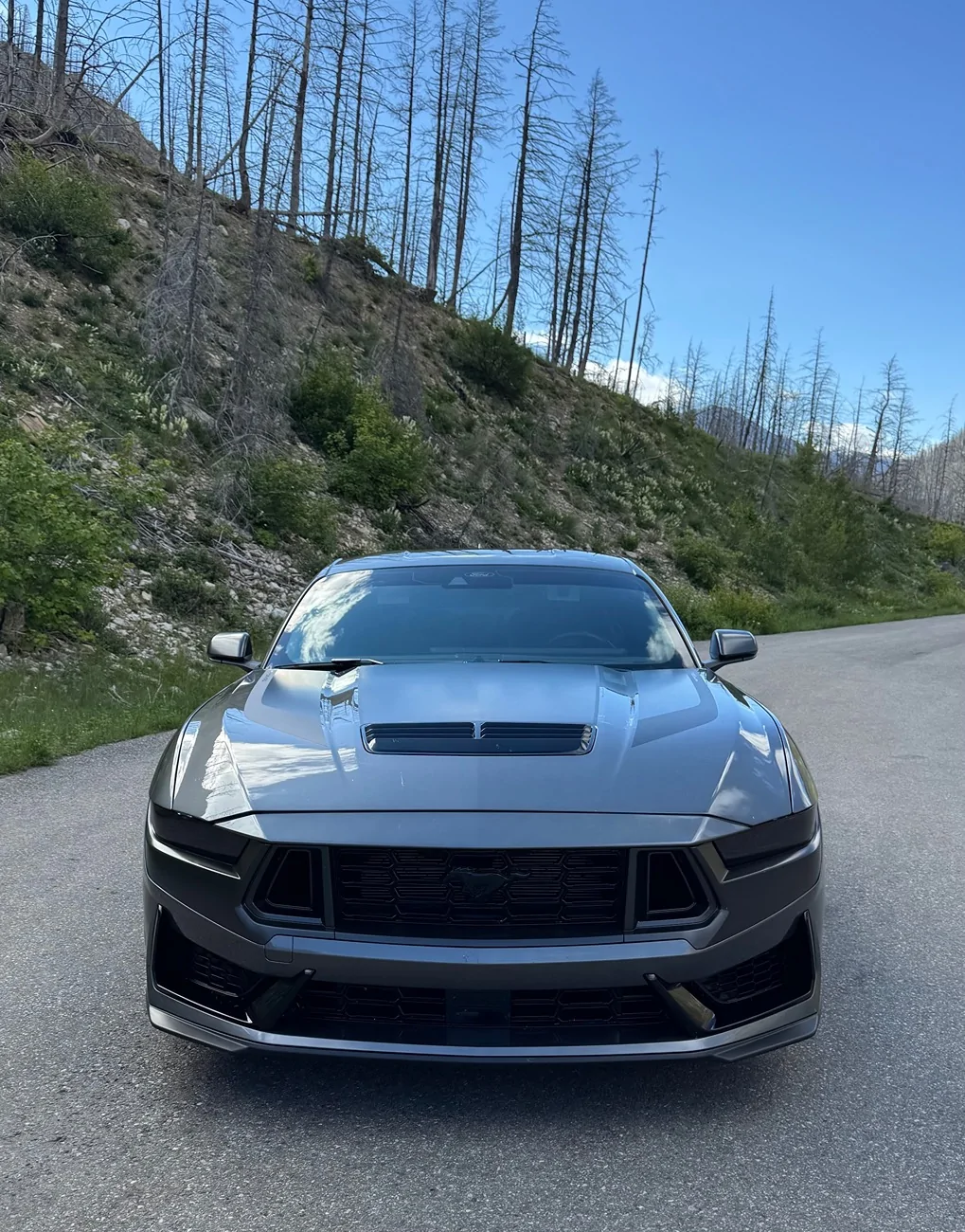 S650 Mustang Cool Daily Random S650 Mustang Pics -- Post Yours! 📸 IMG_0576