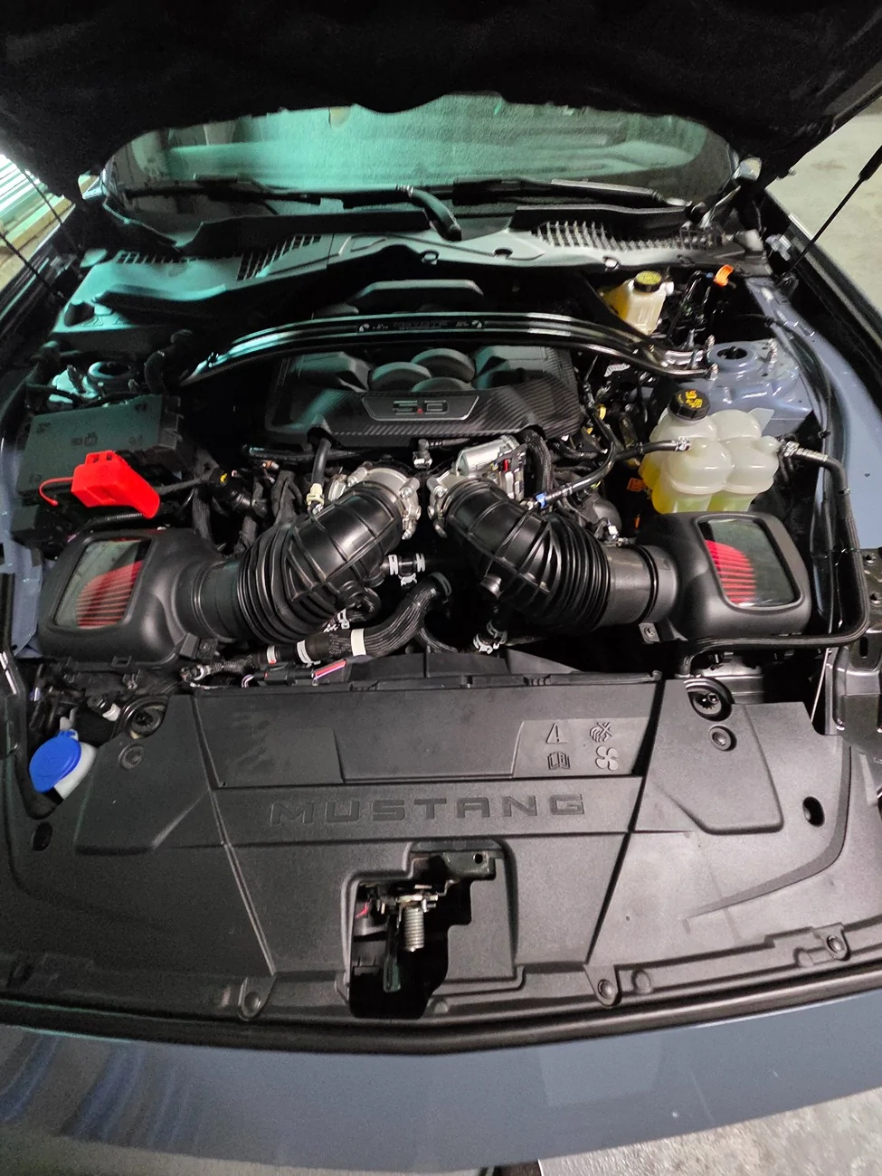 S650 Mustang Next minor upgrade 20250830_142700 - Copy