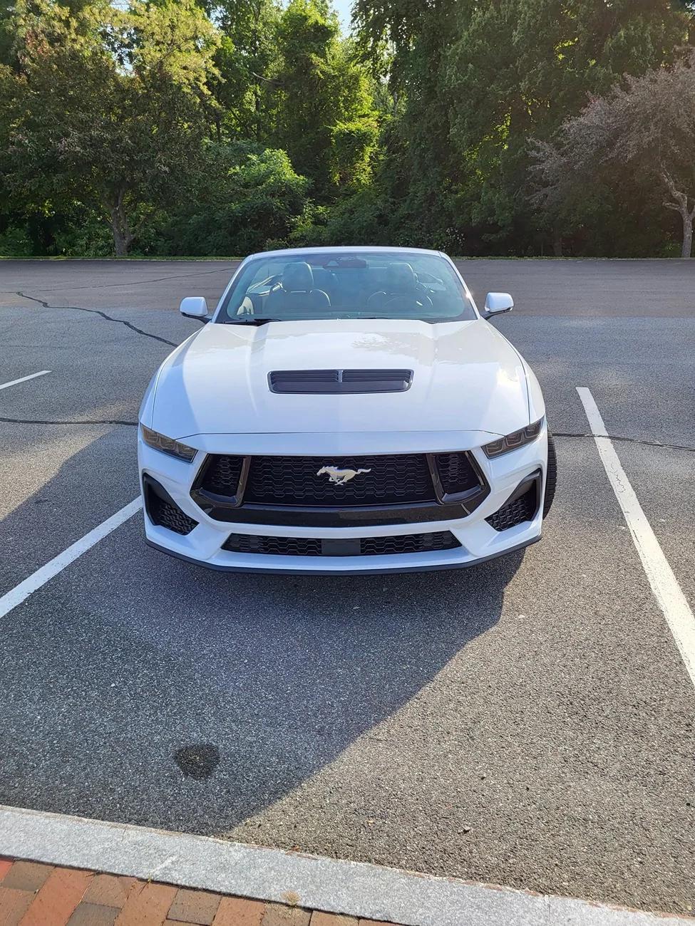 S650 Mustang Front Hood Alignment 20260606_173506