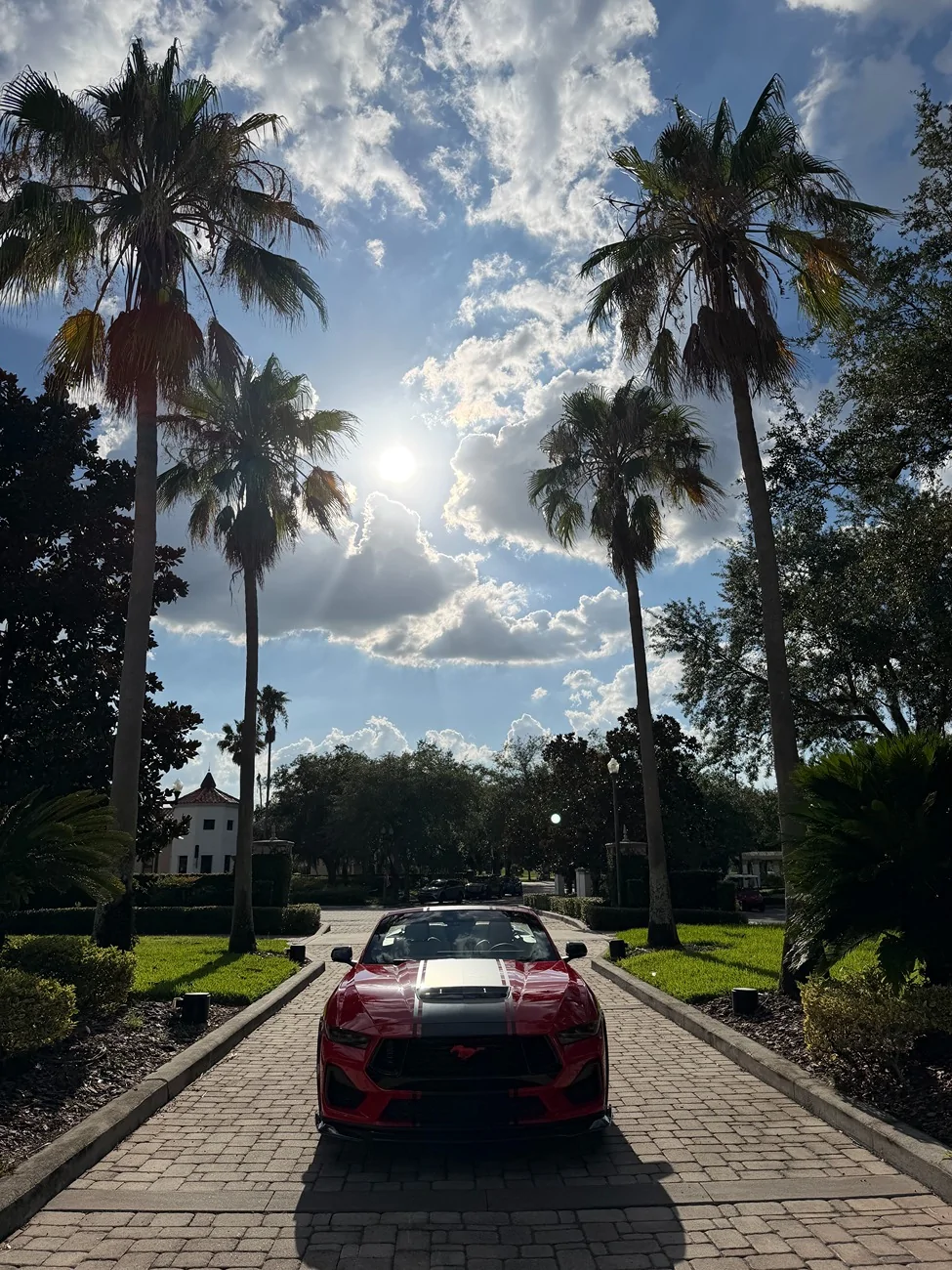 S650 Mustang Cool Daily Random S650 Mustang Pics -- Post Yours! 📸 IMG_5306