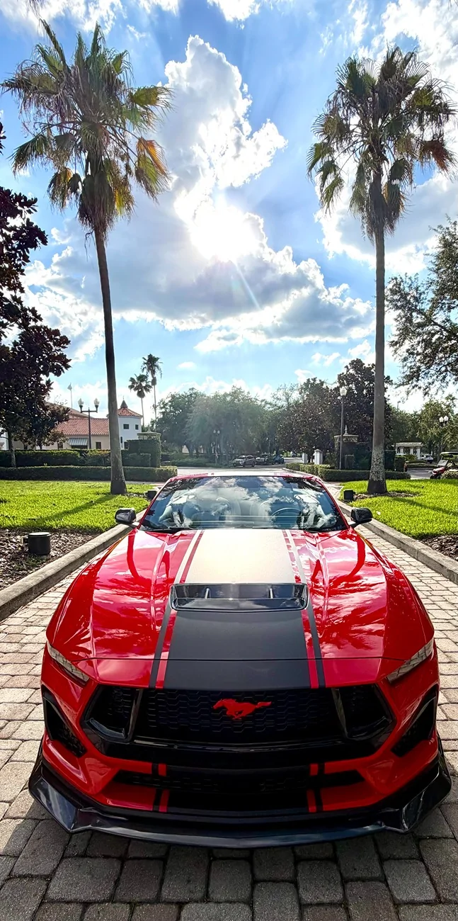 S650 Mustang Cool Daily Random S650 Mustang Pics -- Post Yours! 📸 IMG_5322