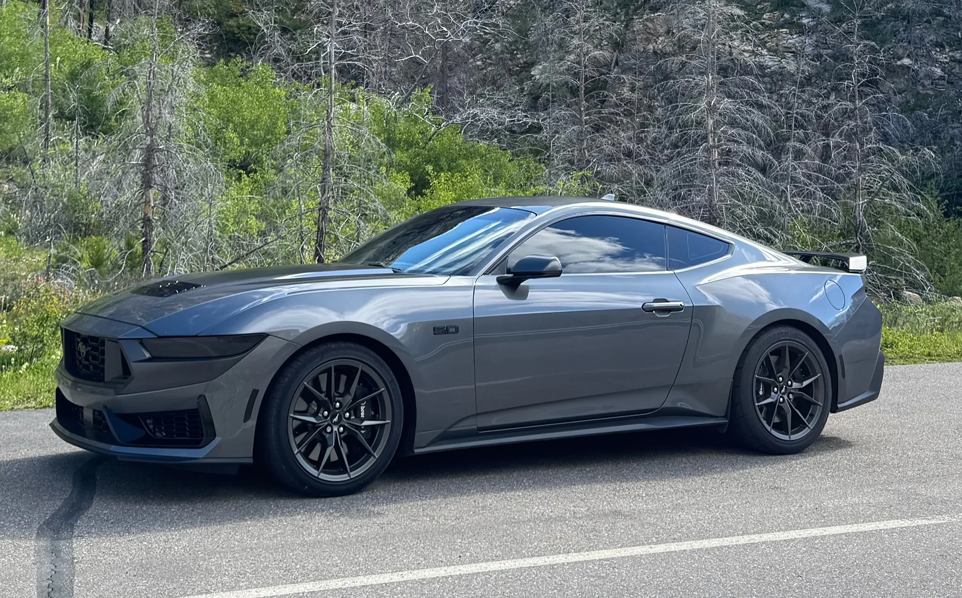 S650 Mustang Official CARBONIZED GRAY Mustang S650 Thread IMG_0582