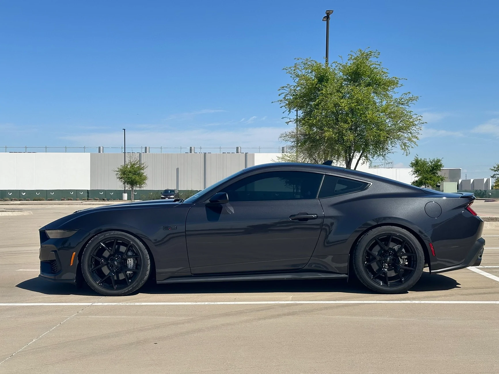 S650 Mustang Minimum Drop Springs IMG_5812