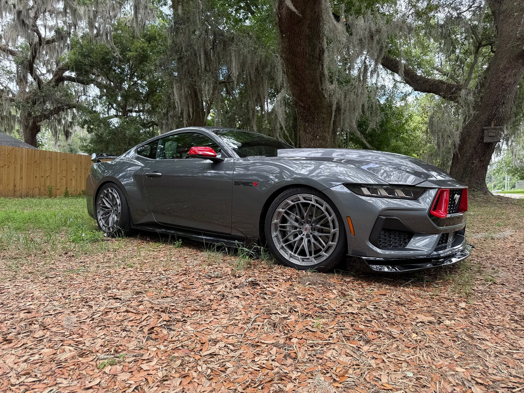 S650 Mustang Introductions & Welcome Thread 👋 IMG_6518