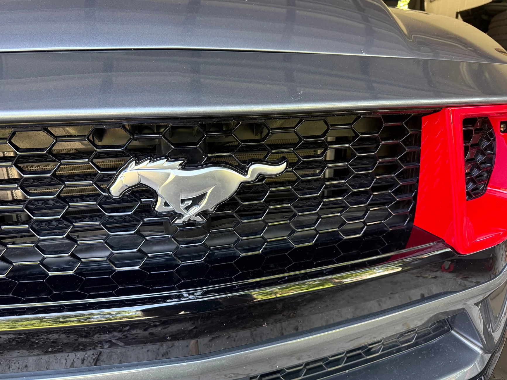 S650 Mustang Before/After grille pony swap IMG_6679