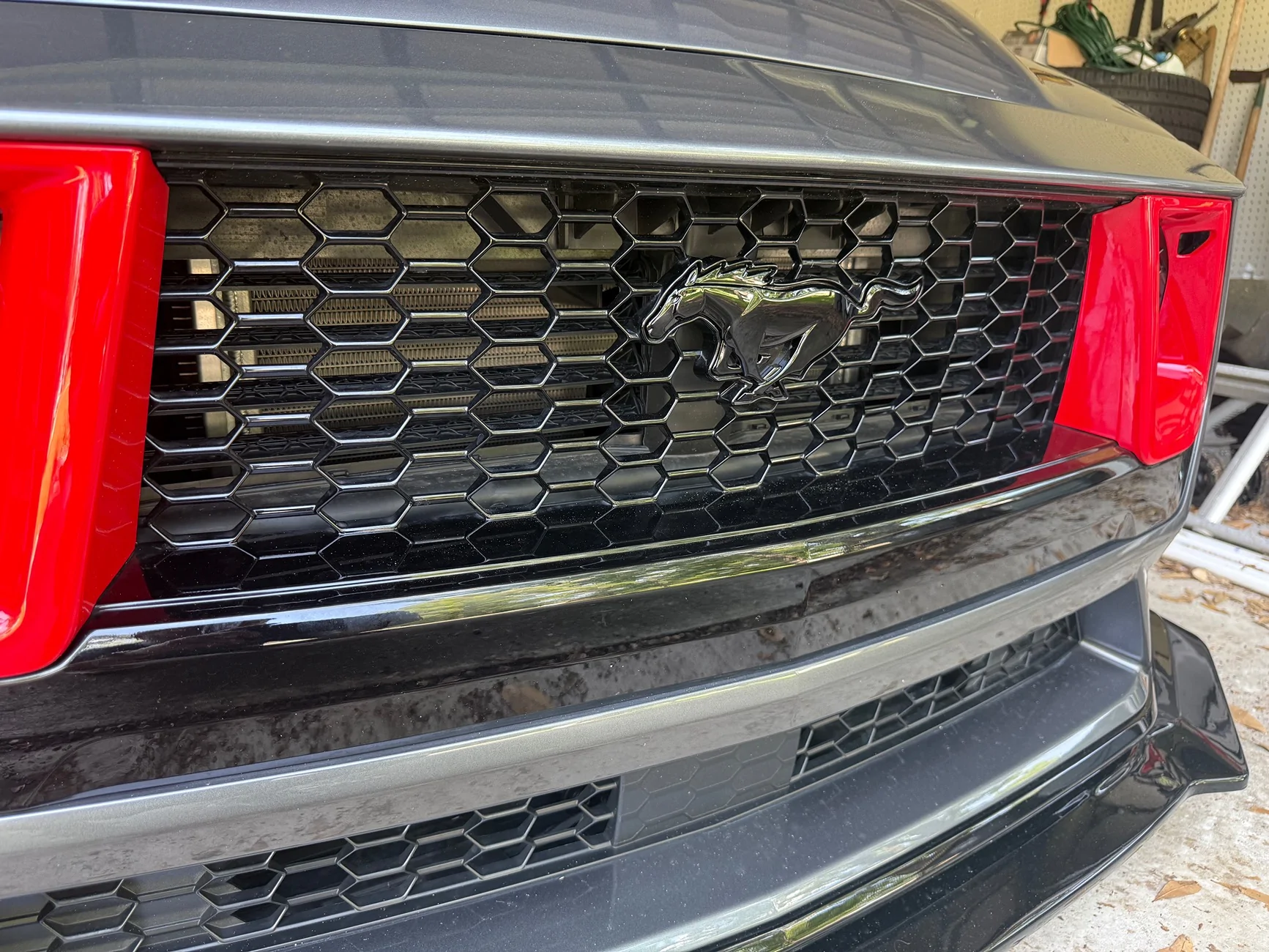 S650 Mustang Before/After grille pony swap IMG_6681