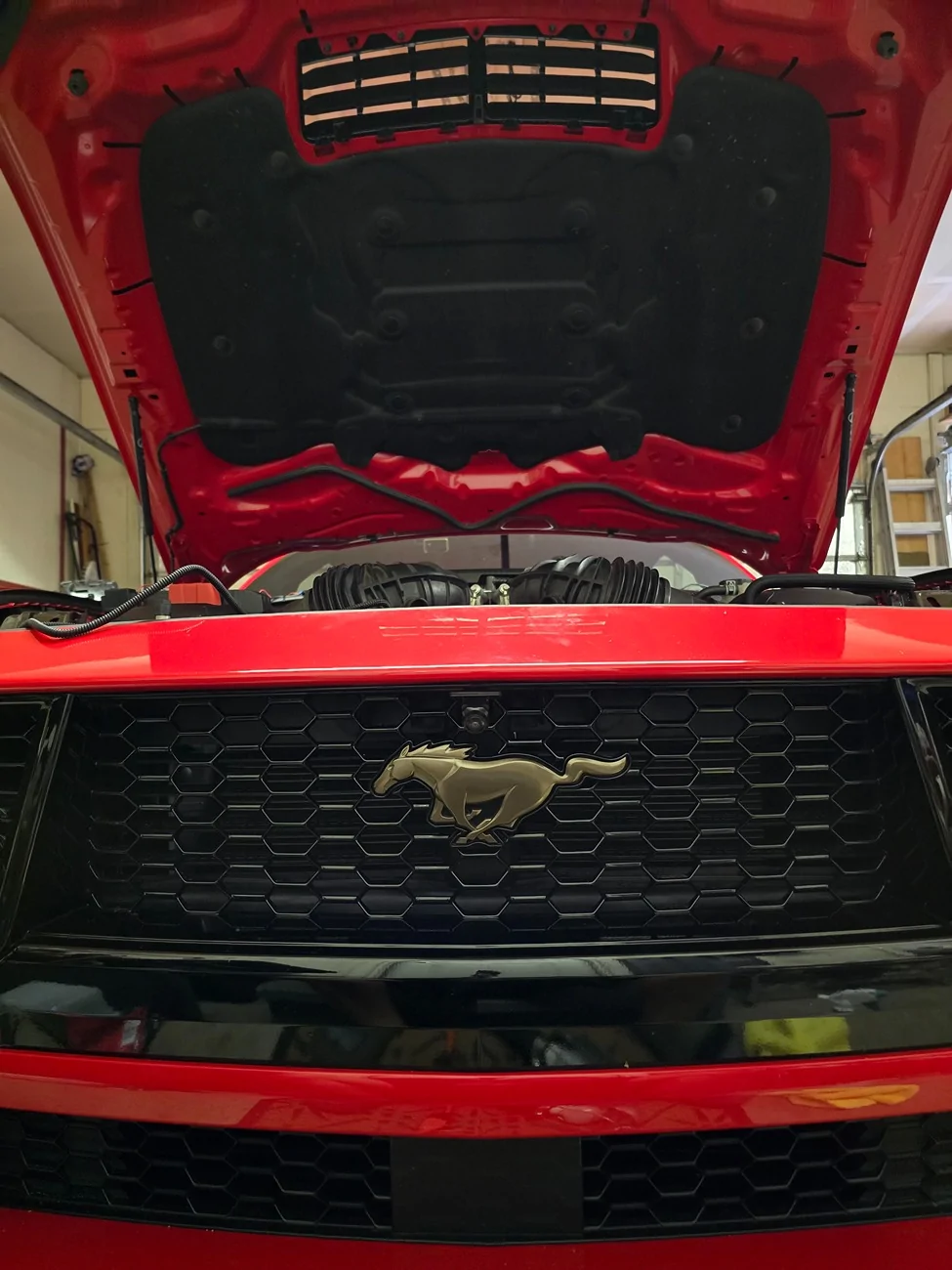 S650 Mustang Finally done:  Yuwei YW04319 parking cam front facing installed 20260628_131011