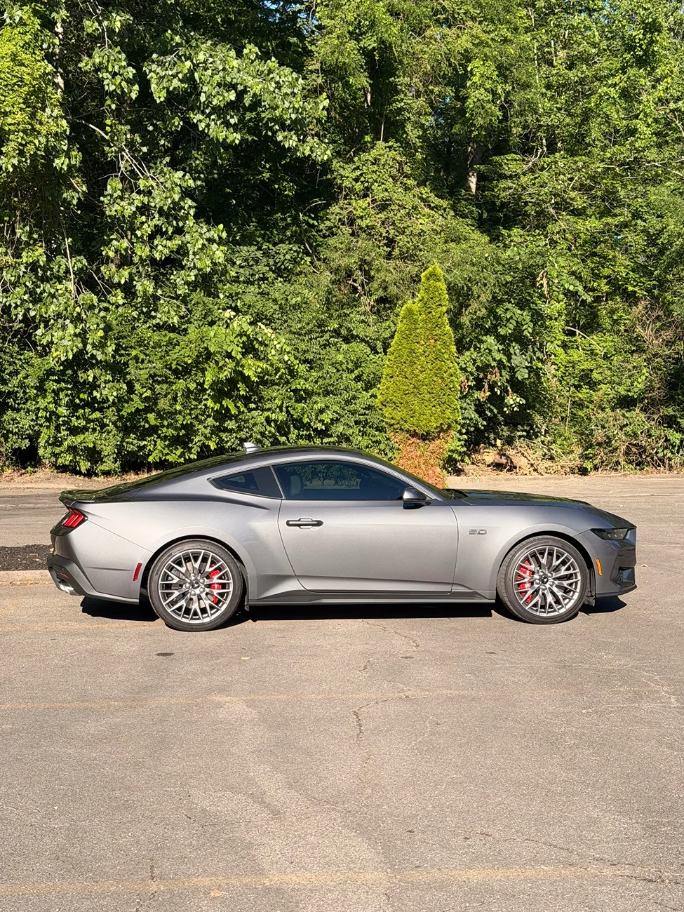 S650 Mustang Official CARBONIZED GRAY Mustang S650 Thread IMG_1891