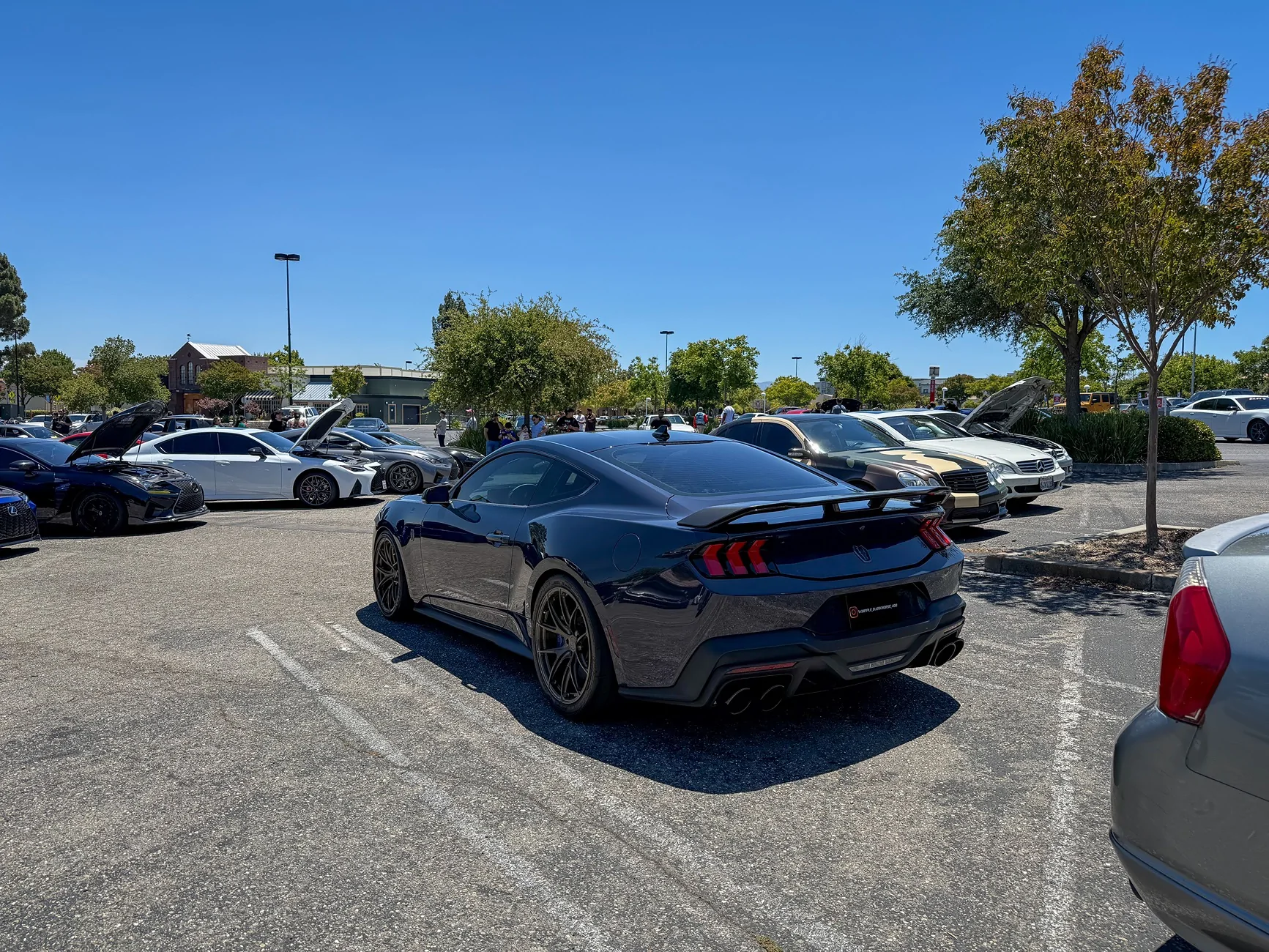 S650 Mustang Cool Daily Random S650 Mustang Pics -- Post Yours! 📸 IMG_5582