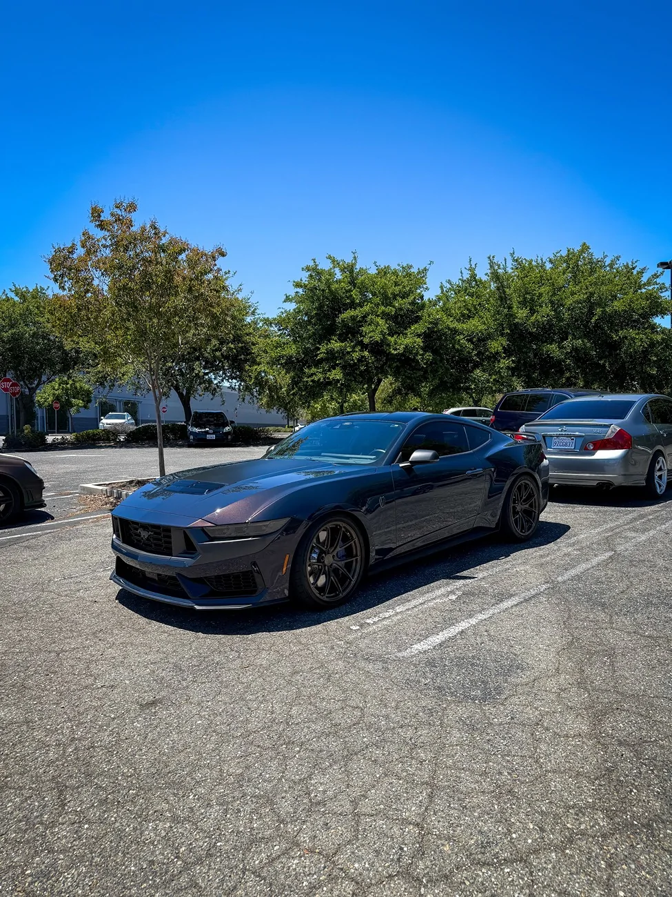 S650 Mustang Cool Daily Random S650 Mustang Pics -- Post Yours! 📸 IMG_5580