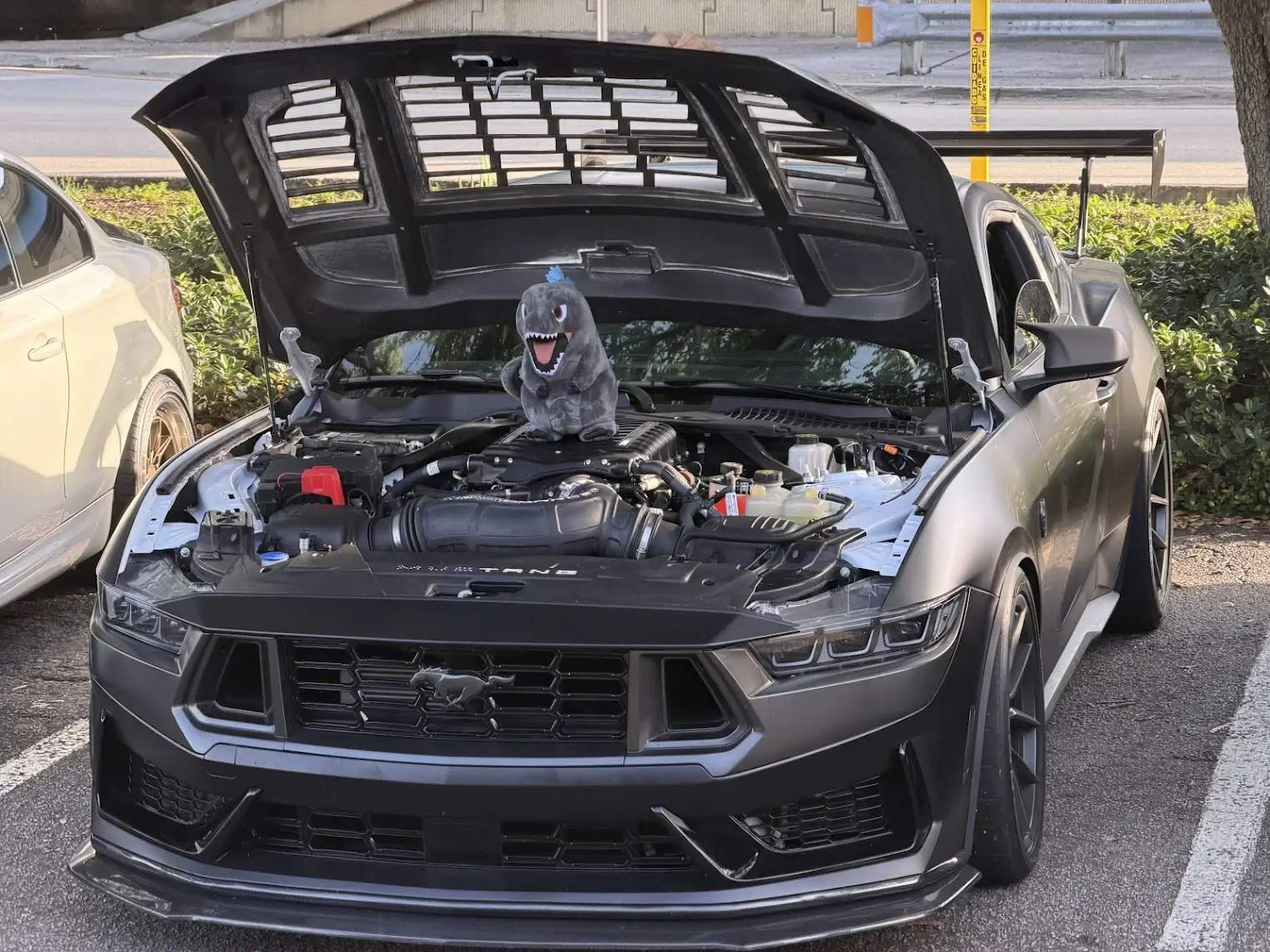 S650 Mustang Cool Daily Random S650 Mustang Pics -- Post Yours! 📸 1783525684524-tu