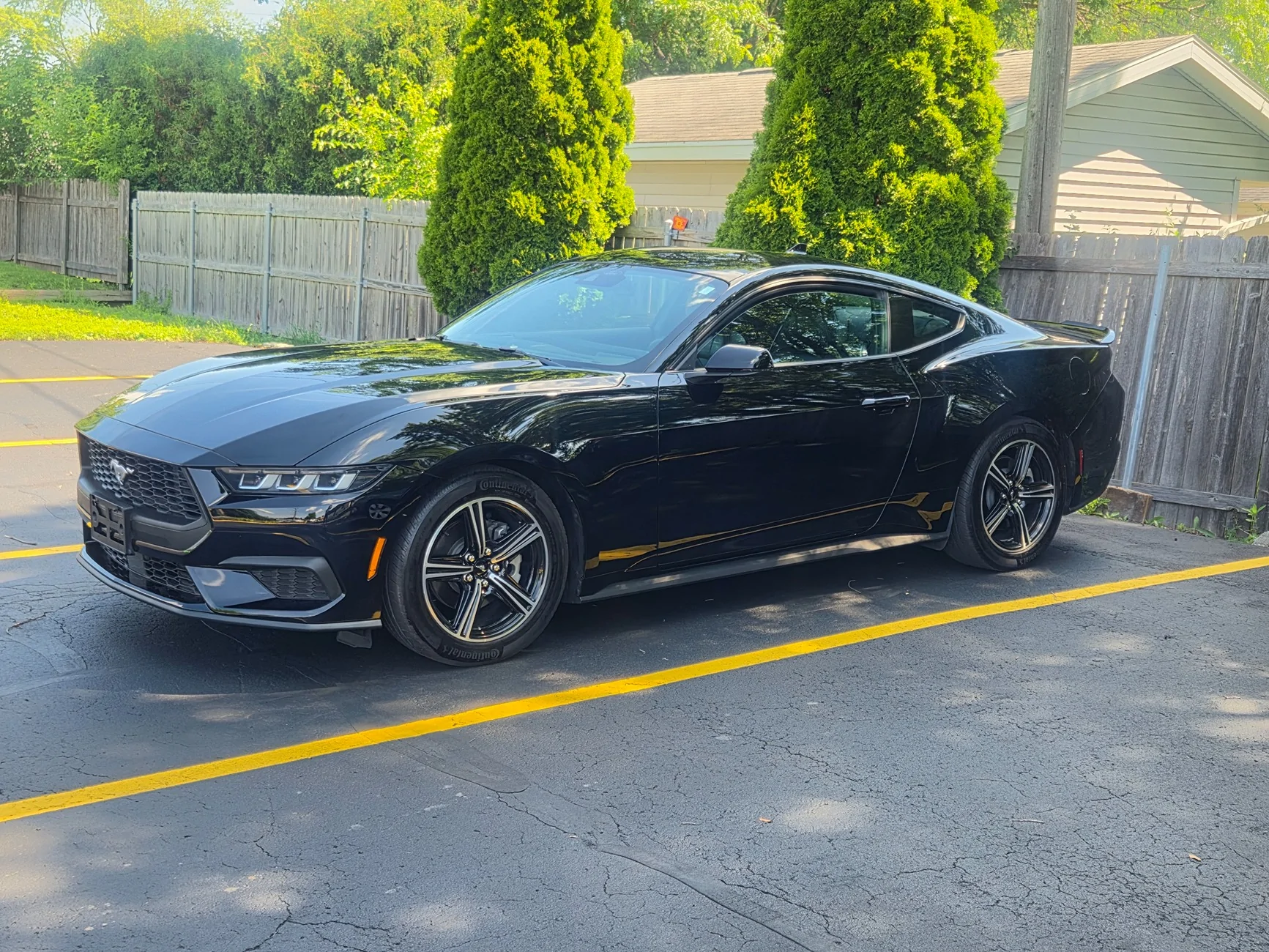 S650 Mustang Cool Daily Random S650 Mustang Pics -- Post Yours! 📸 20260710_104226