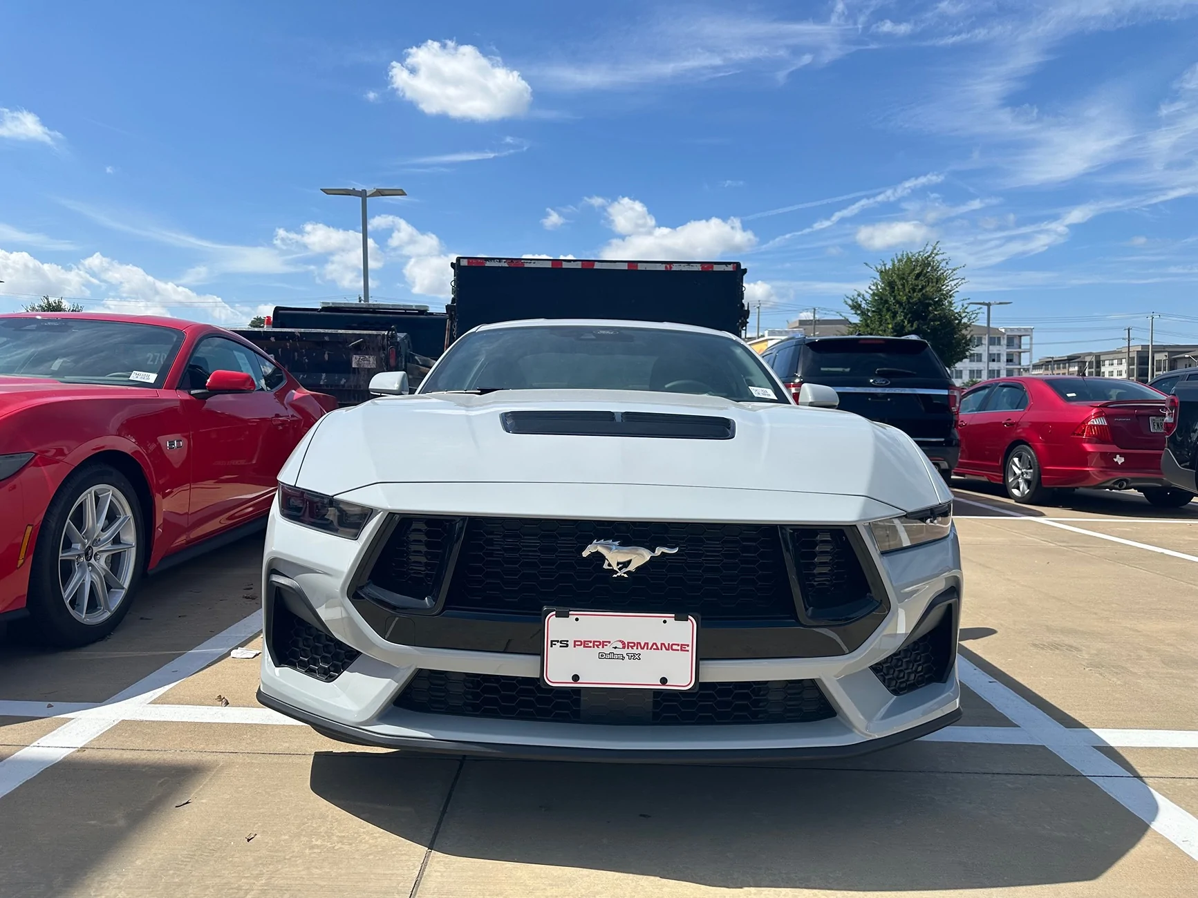 S650 Mustang 2026 Avalanche Gray GT IMG_8238