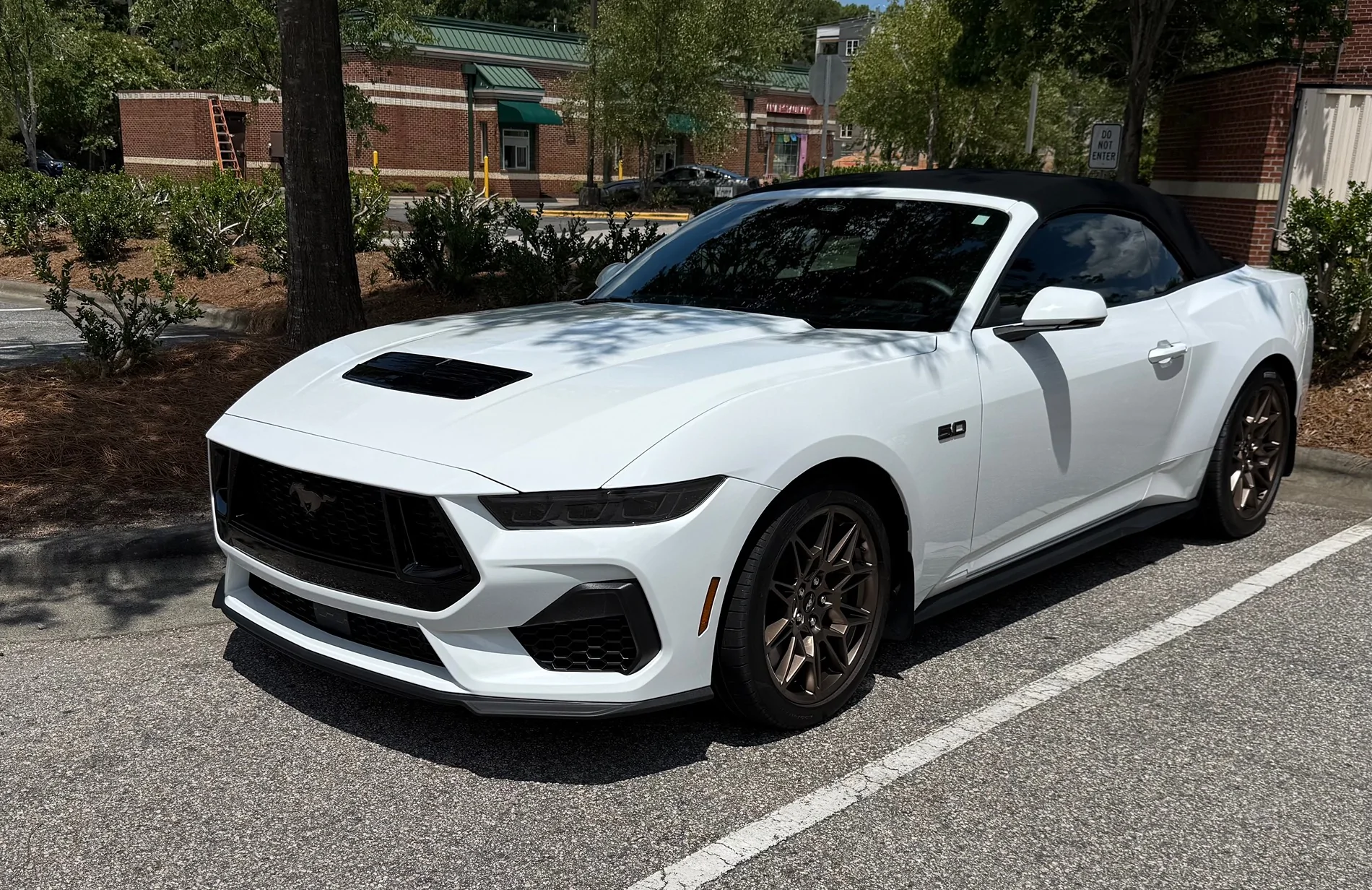 S650 Mustang Cool Daily Random S650 Mustang Pics -- Post Yours! 📸 IMG_5594