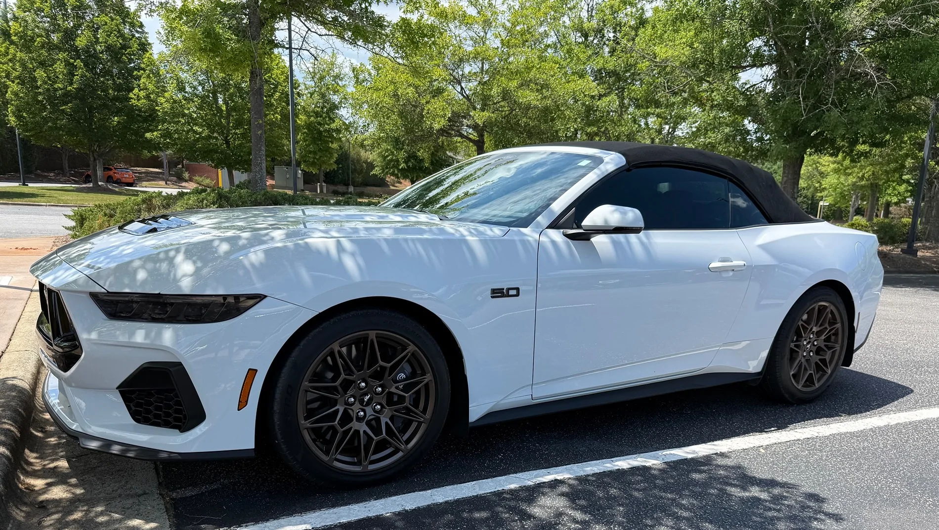 S650 Mustang Cool Daily Random S650 Mustang Pics -- Post Yours! 📸 IMG_5595