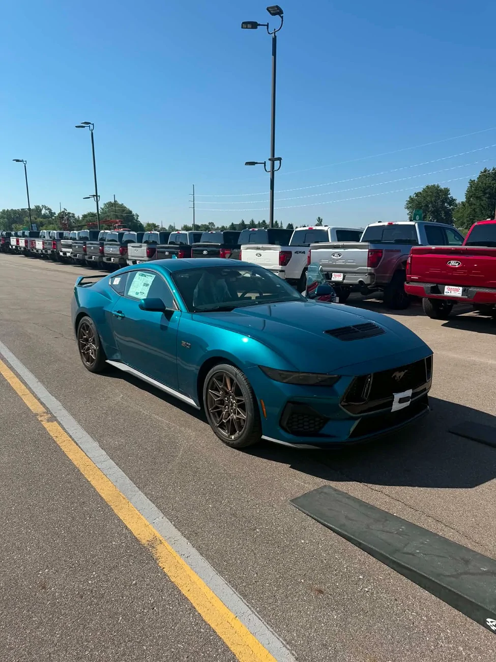 S650 Mustang Official Adriatic Blue Metallic Mustang S650 Thread Messenger_creation_E2990298-F5F1-4E36-84C9-2D25BA4A85C2