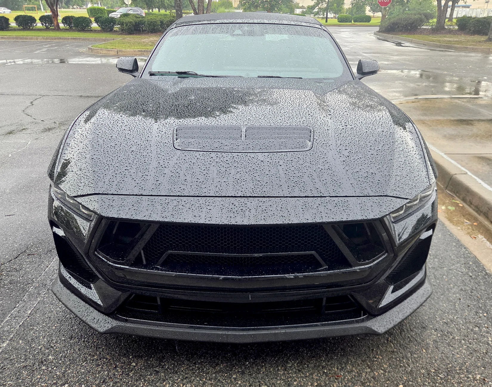 S650 Mustang Shelby Super Snake Style Grille Kit 20260713_132839