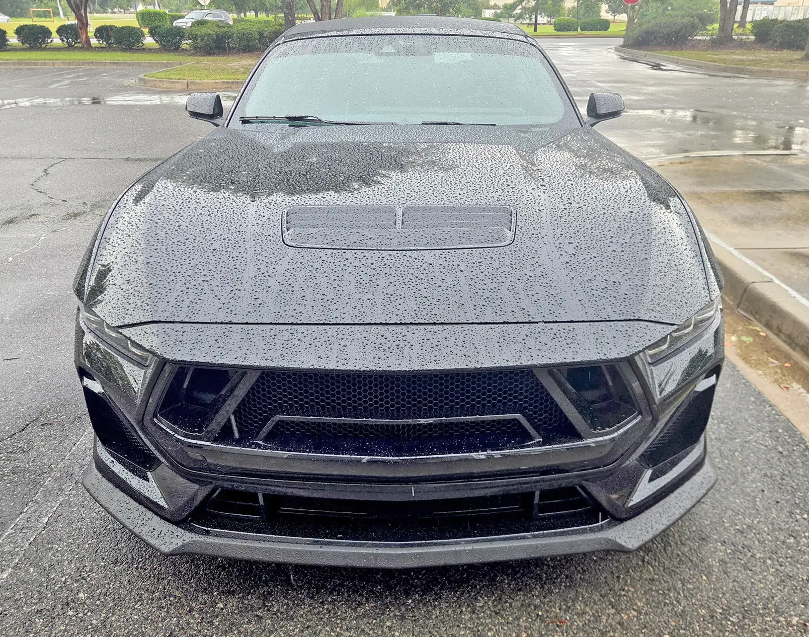 S650 Mustang Shelby Super Snake Style Grille Kit installed 599864-a8920d13ce158ff186b0ca4ec97b33f6