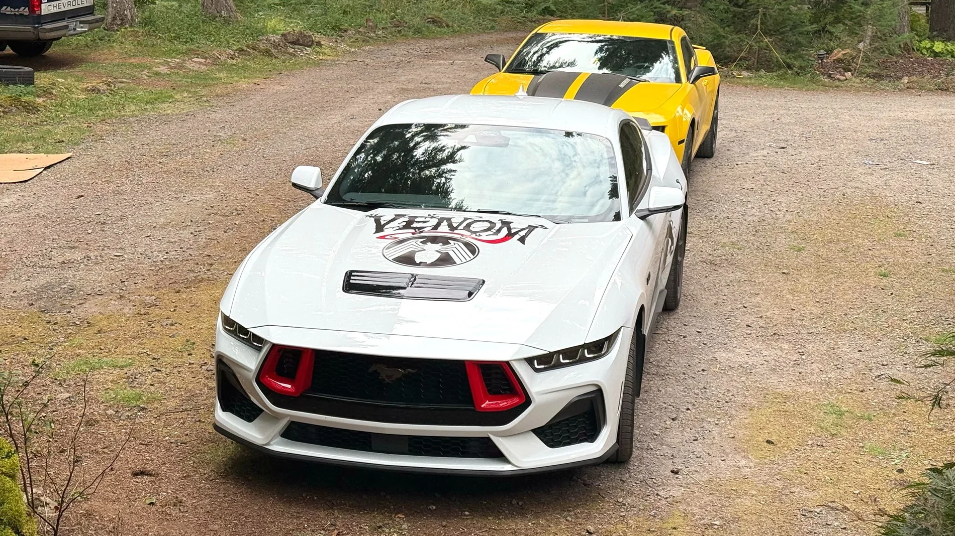 S650 Mustang Did a thing! Now I'm regretting it? mustang