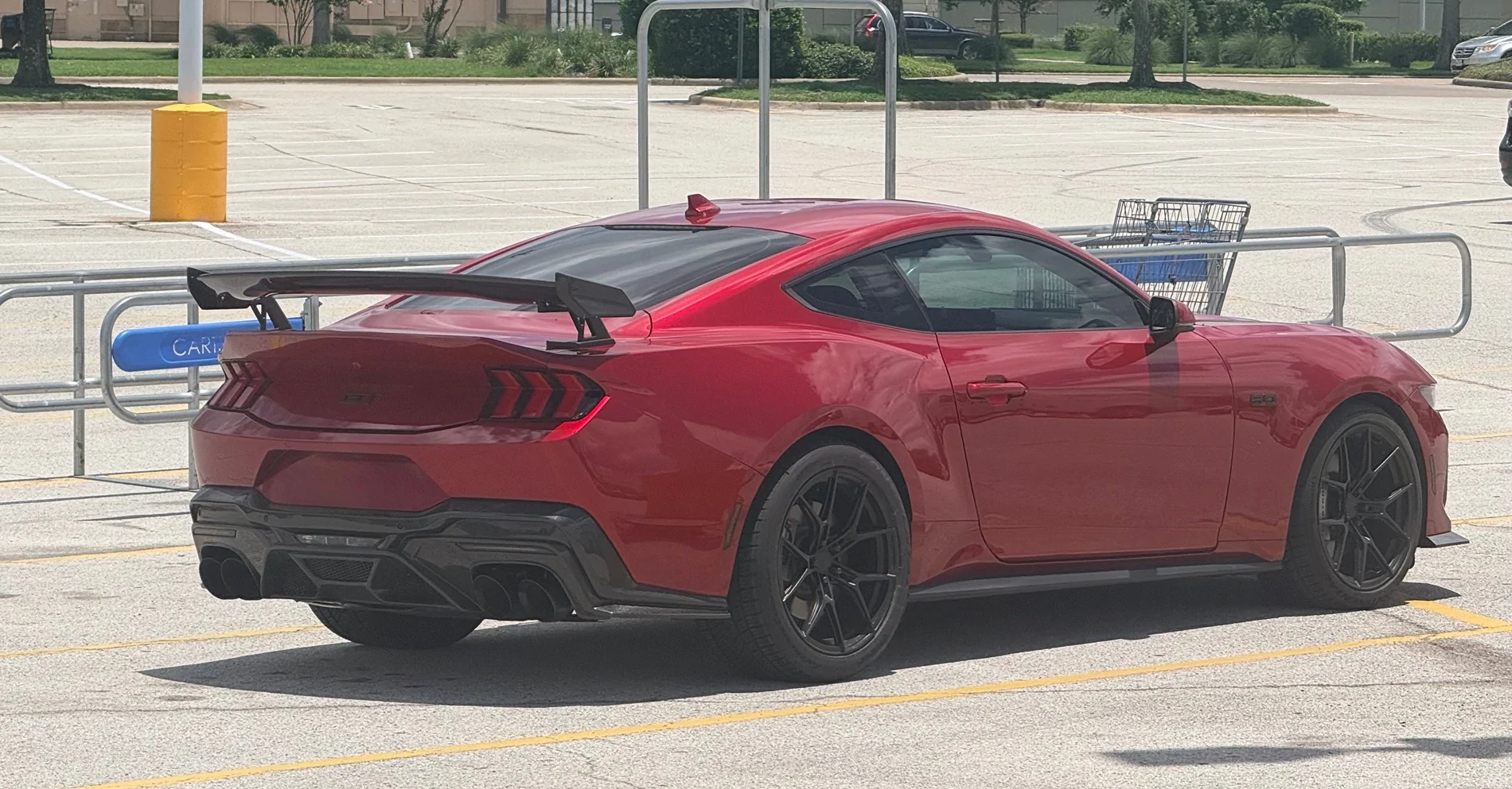 S650 Mustang Cool Daily Random S650 Mustang Pics -- Post Yours! 📸 IMG_7824