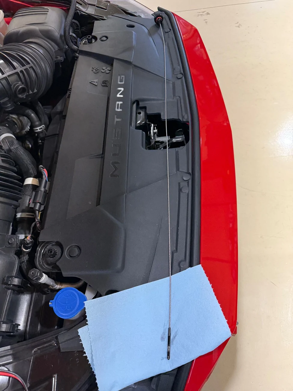 S650 Mustang Transmission Dipstick Added to the Engine Bay IMG_6338