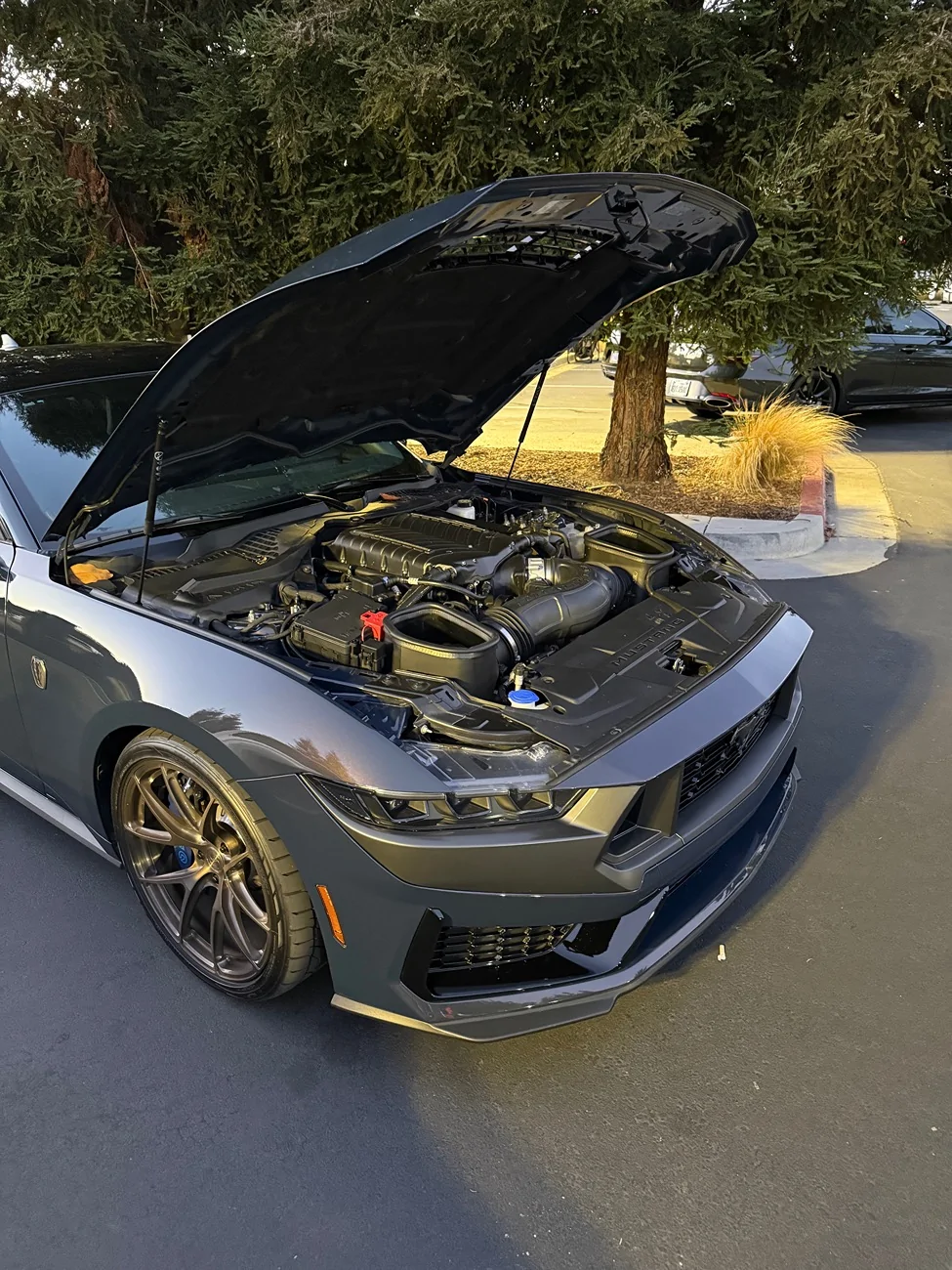 S650 Mustang Cool Daily Random S650 Mustang Pics -- Post Yours! 📸 IMG_5809