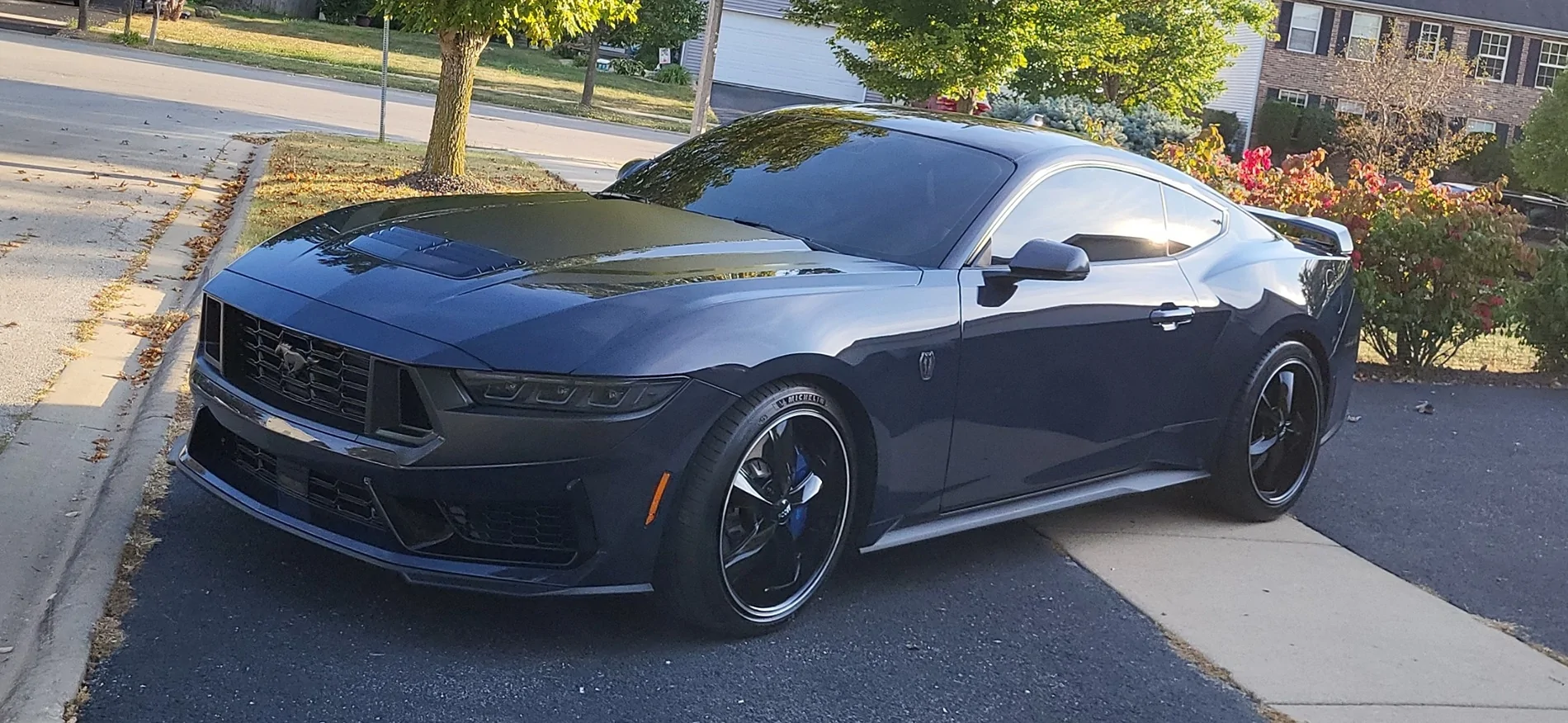 S650 Mustang Did a thing! Now I'm regretting it? Screenshot_20250513_201700_Gallery