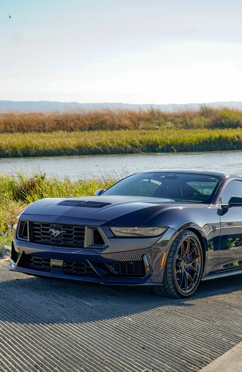 S650 Mustang Cool Daily Random S650 Mustang Pics -- Post Yours! 📸 _DSC0495