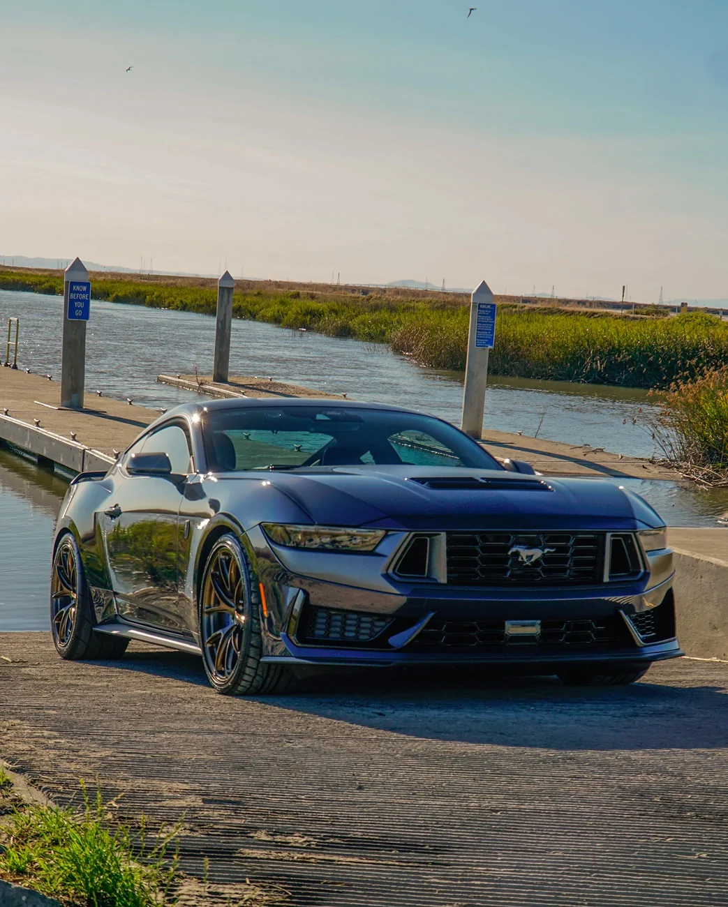 S650 Mustang Cool Daily Random S650 Mustang Pics -- Post Yours! 📸 _DSC0511