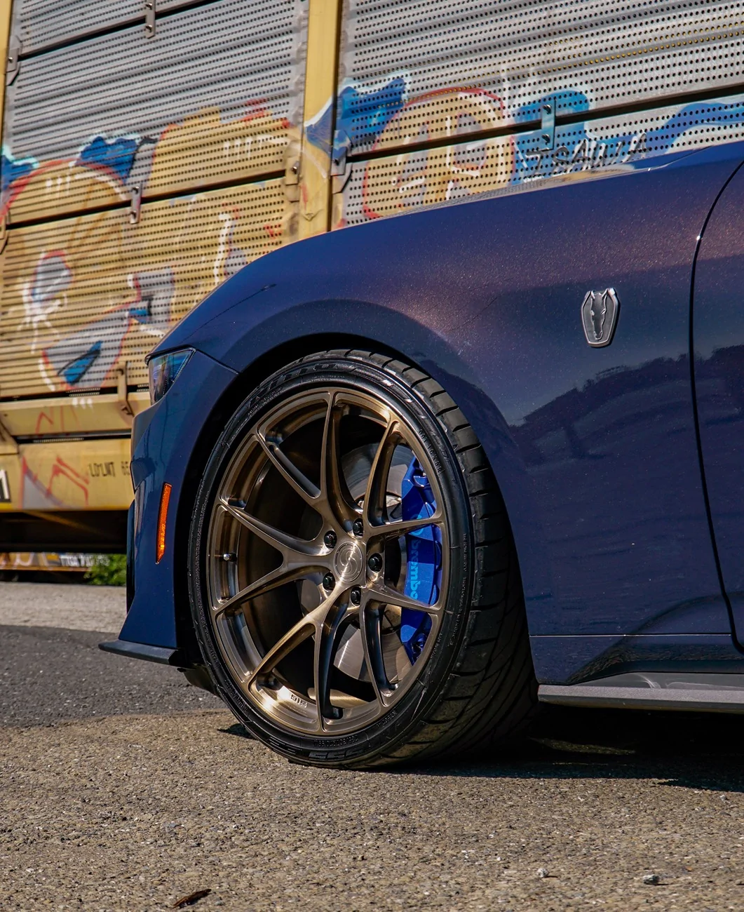 S650 Mustang Cool Daily Random S650 Mustang Pics -- Post Yours! 📸 _DSC0428