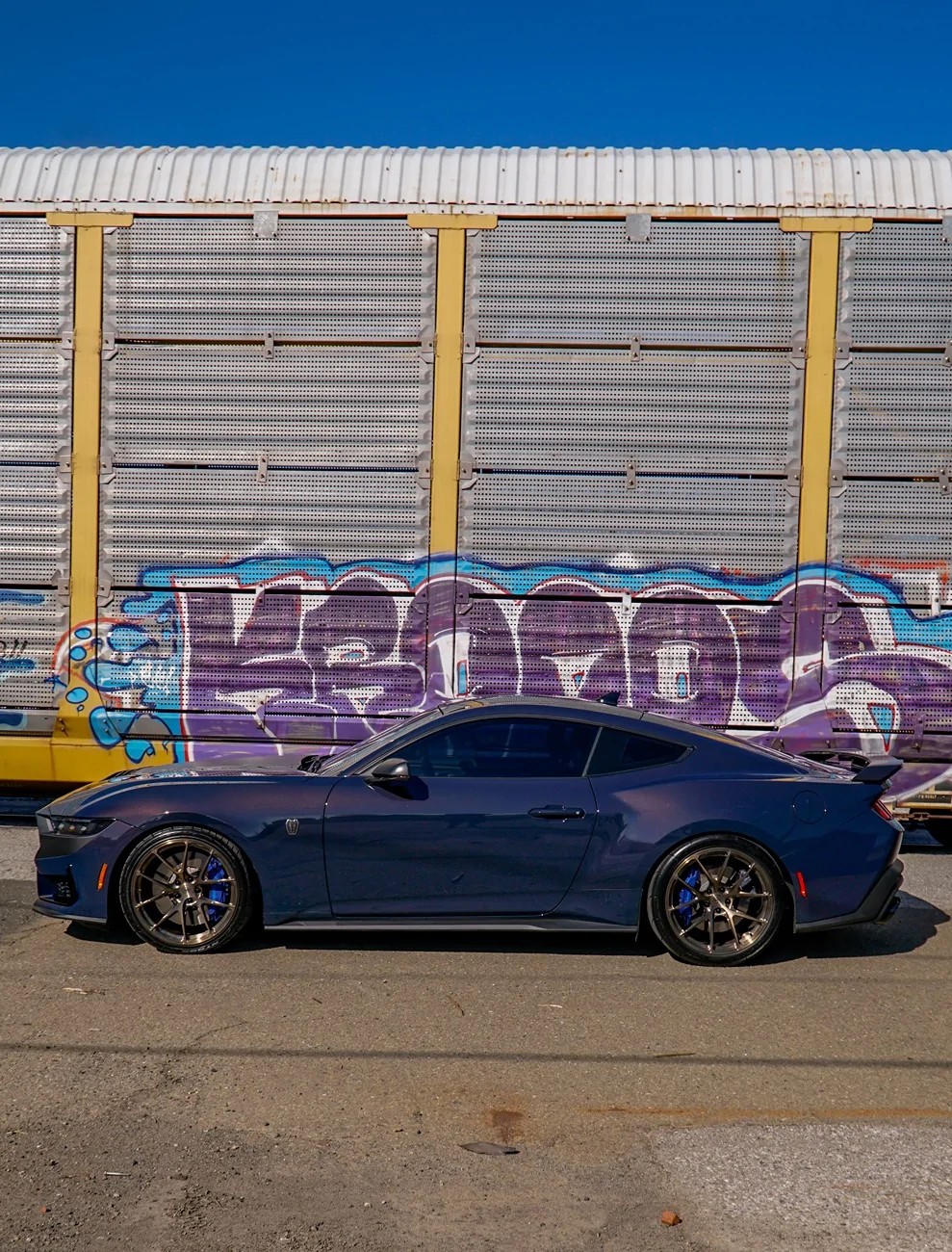 S650 Mustang Official BLUE EMBER Mustang S650 Thread _DSC0424