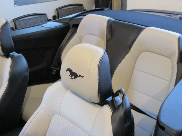 S650 Mustang 2022 Mustang GT Premium Convertible FD63EFF2-C3CE-469F-ACC9-157487D64B13
