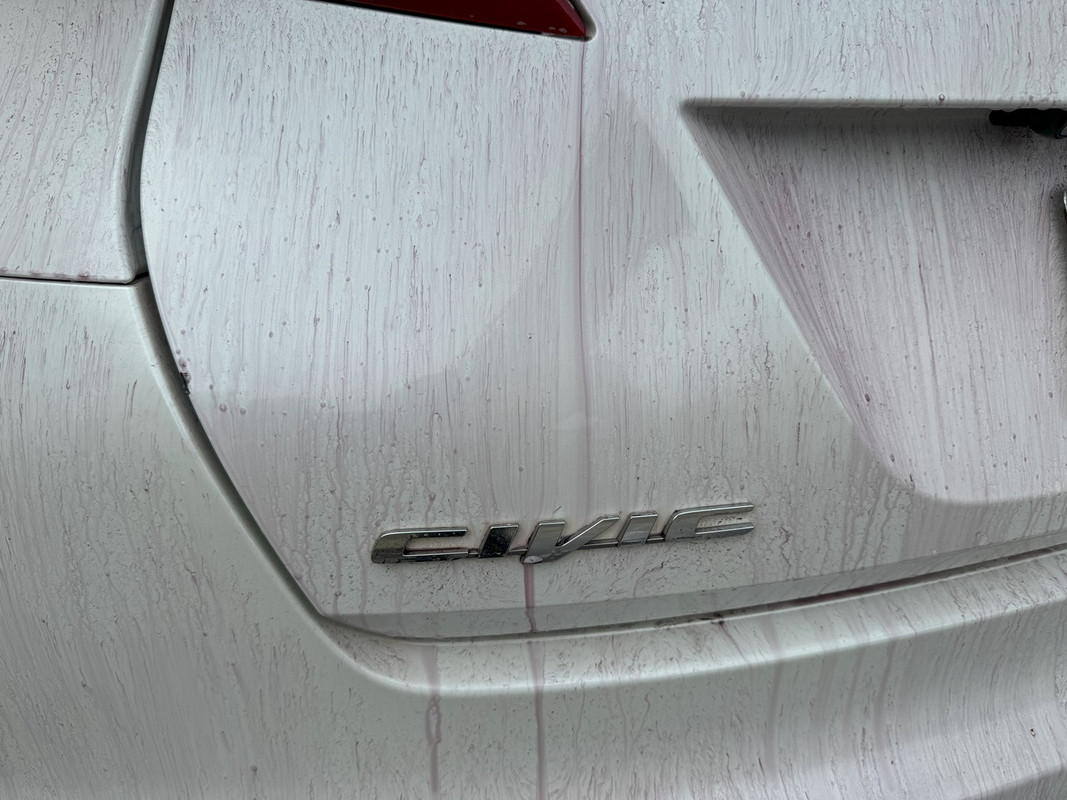 S650 Mustang Aussie S650 Paint protection and detailing thread IMG-1127