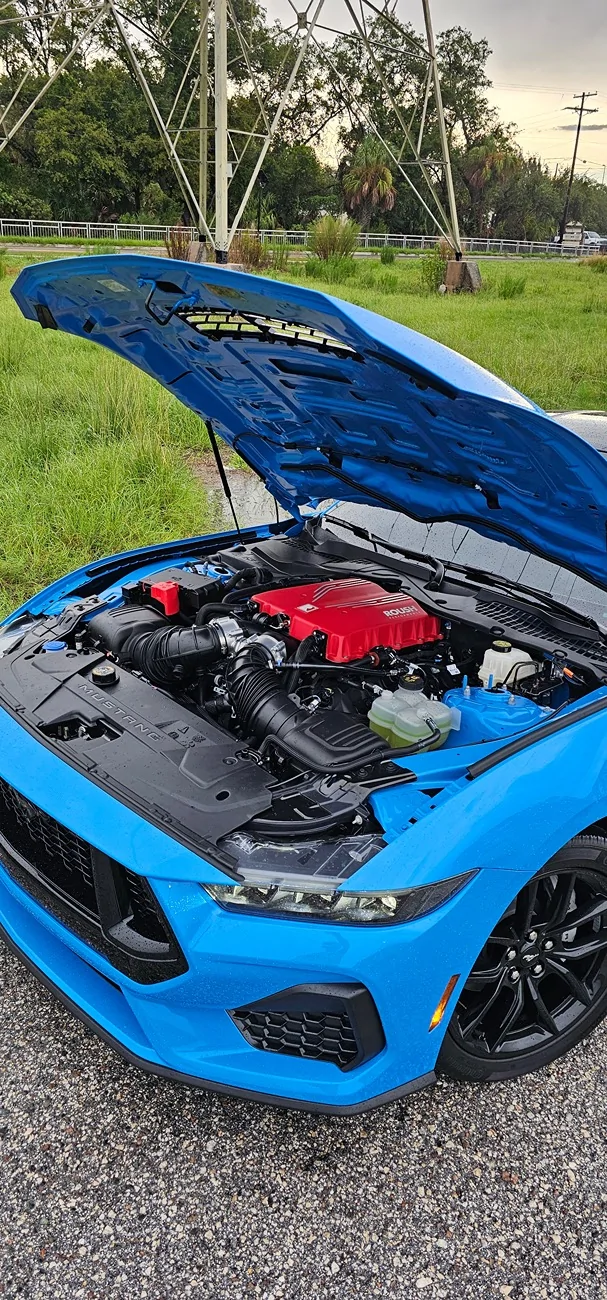 S650 Mustang Cool Daily Random S650 Mustang Pics -- Post Yours! 📸 1000042241