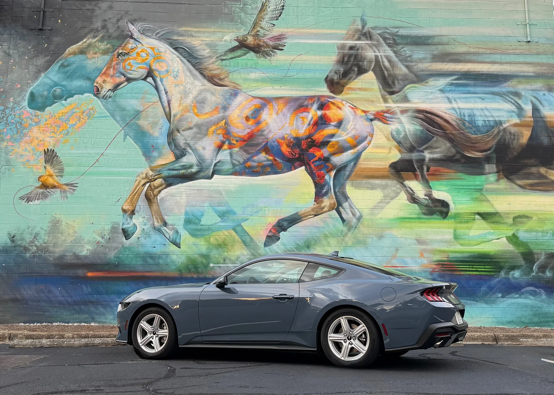 S650 Mustang Cool Daily Random S650 Mustang Pics -- Post Yours! 📸 IMG_1673