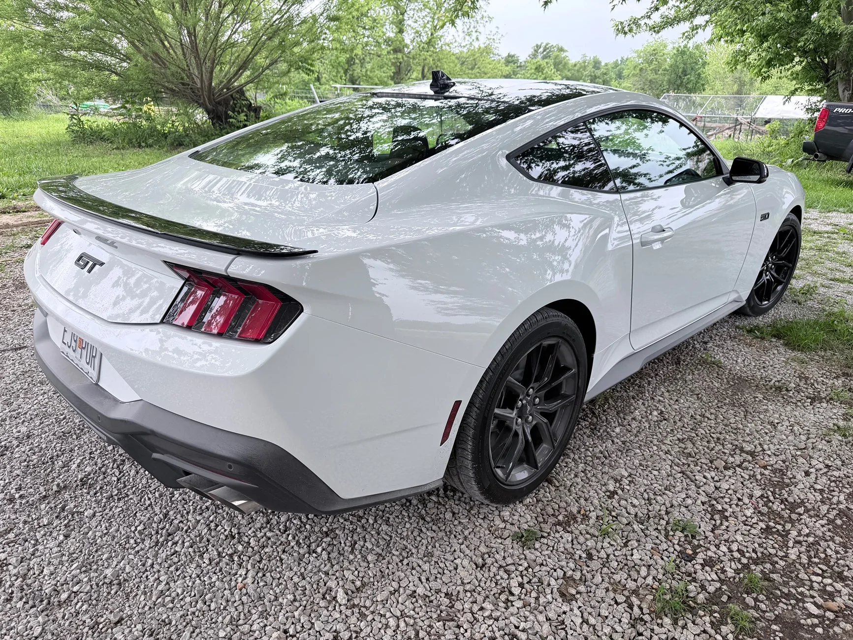 S650 Mustang One mod you love and wouldn't change. And one you kinda regret? IMG_2719