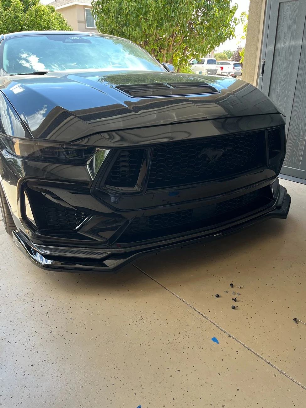 S650 Mustang My 2025 Mustang GT Build (Her name is Raven) IMG_9567