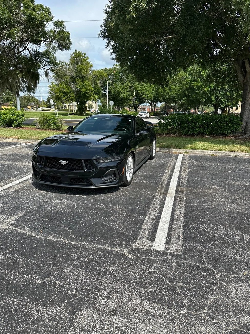 S650 Mustang I need help with tire specs IMG_0218