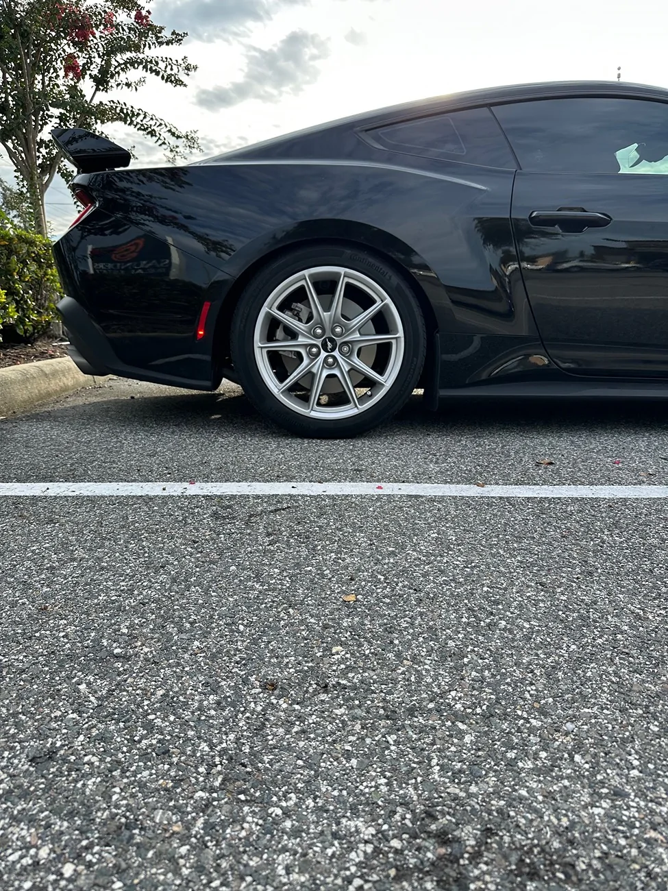 S650 Mustang I need help with tire specs IMG_0230