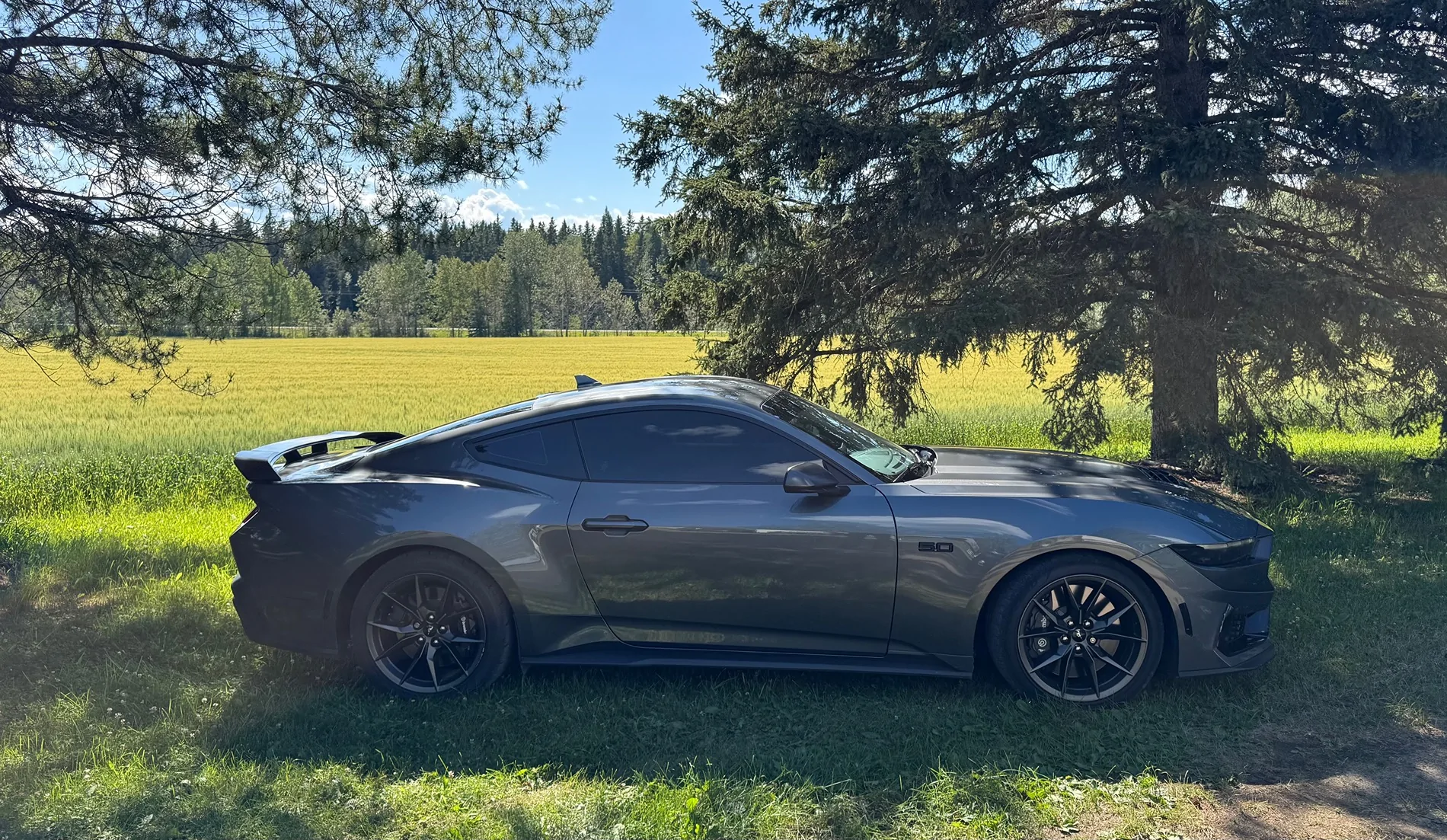 S650 Mustang Cool Daily Random S650 Mustang Pics -- Post Yours! 📸 IMG_0858