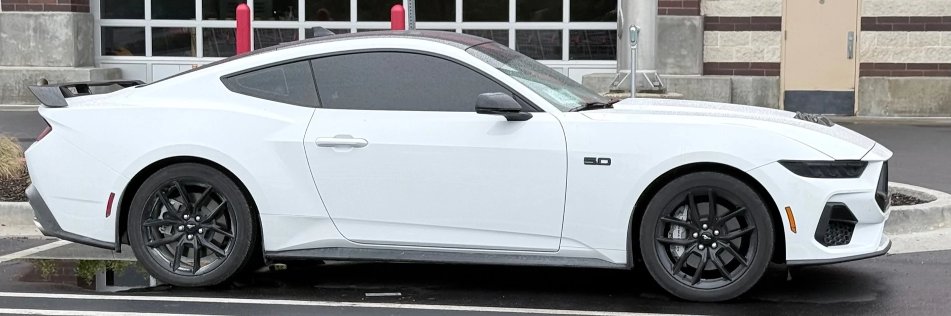 S650 Mustang Cool Daily Random S650 Mustang Pics -- Post Yours! 📸 IMG_3029