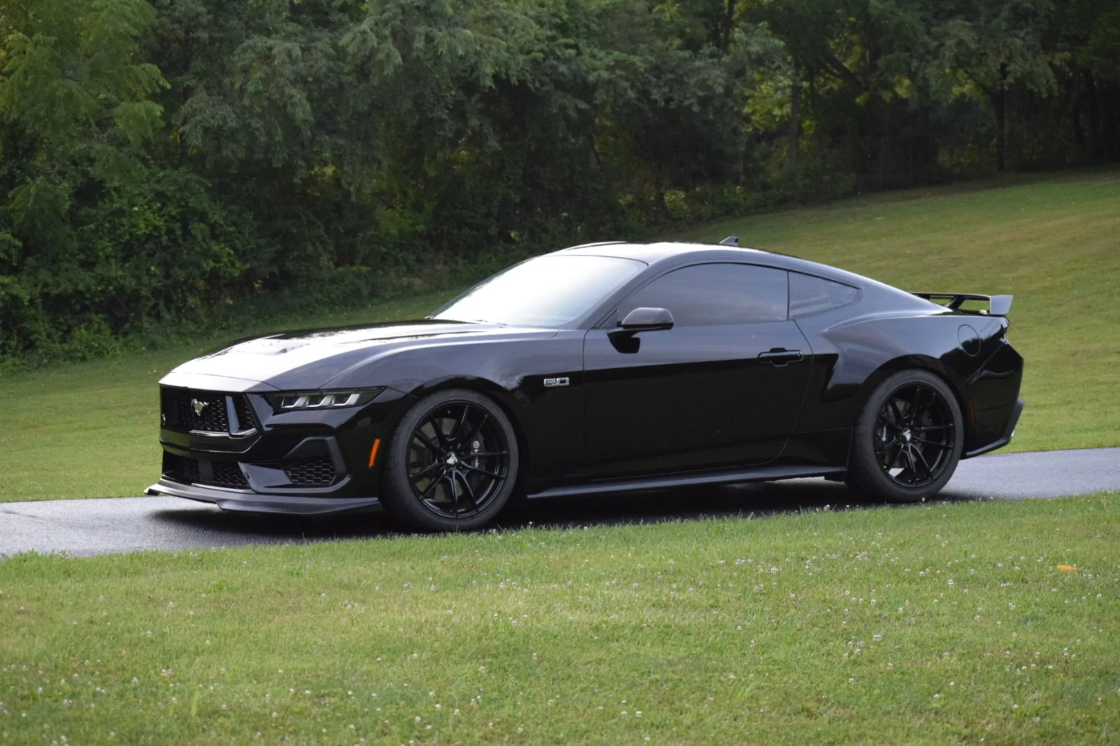 S650 Mustang What did you do to your S650 Mustang today?? 🙋🏻‍♂️ IMG_0205